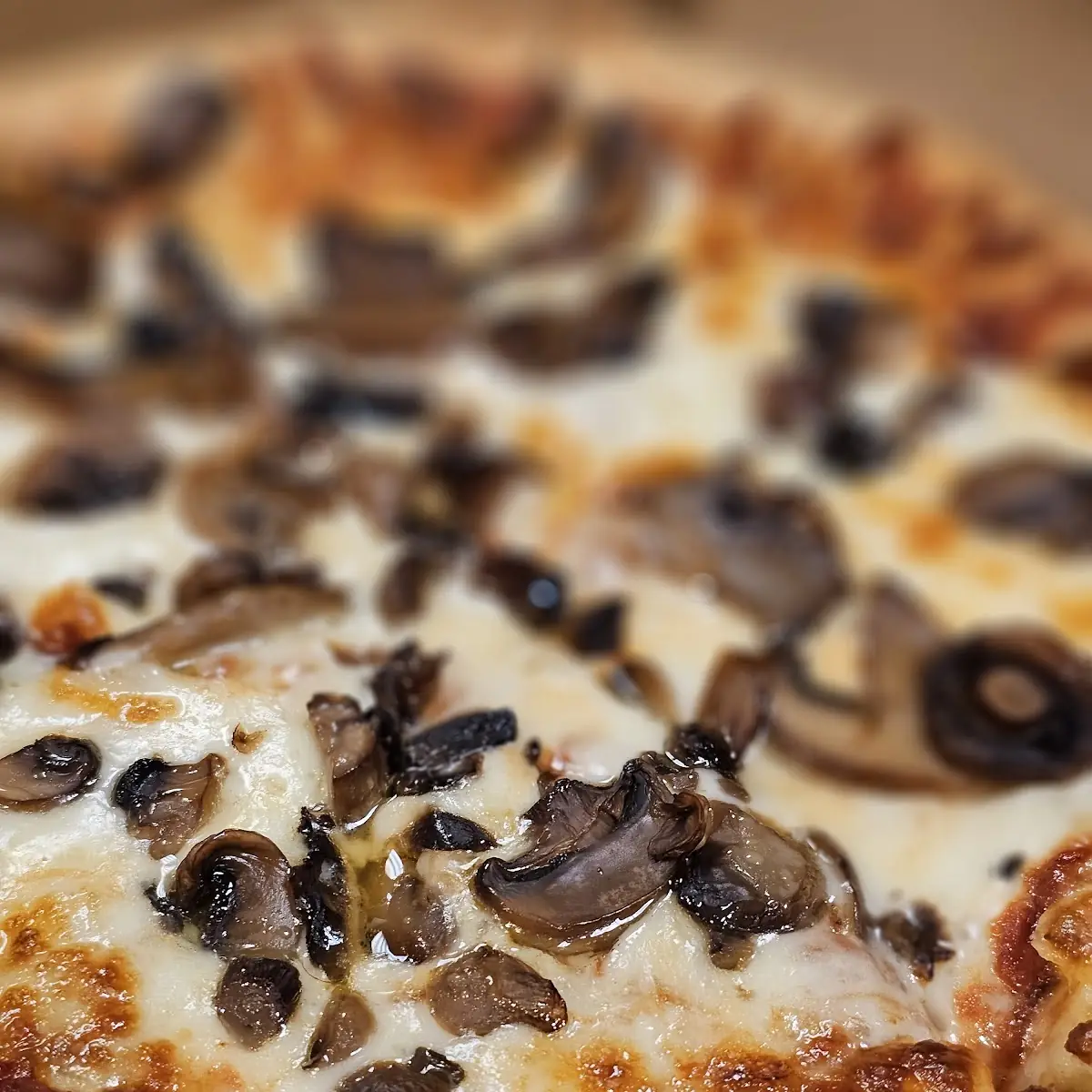 Small Mushroom Pizza