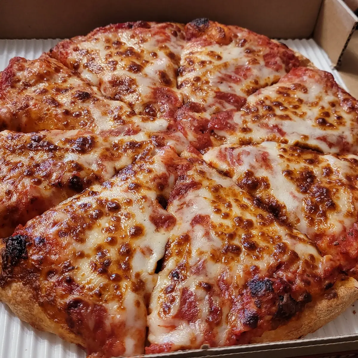 Medium Cheese Pizza