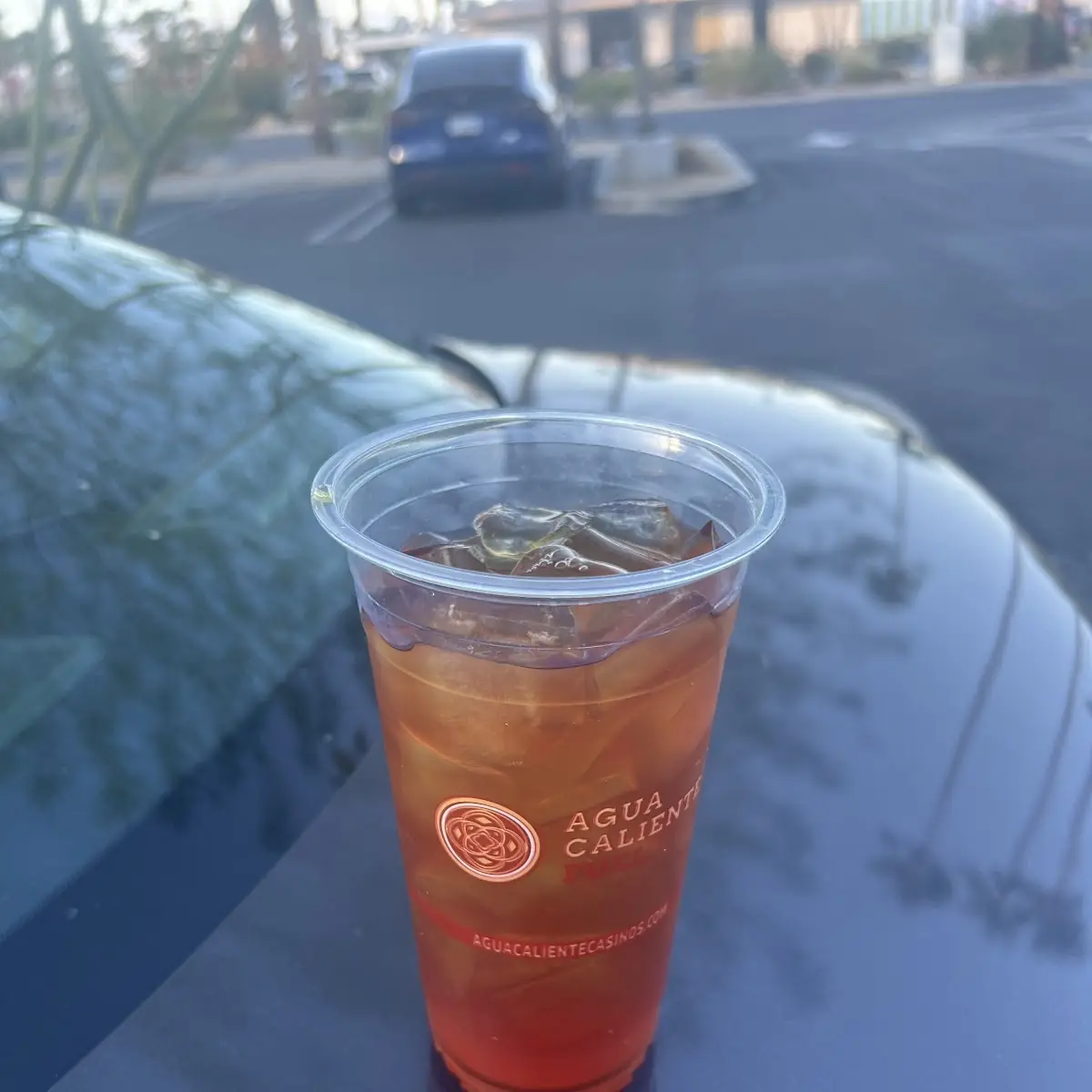 Pure Leaf Iced Tea 18 Oz