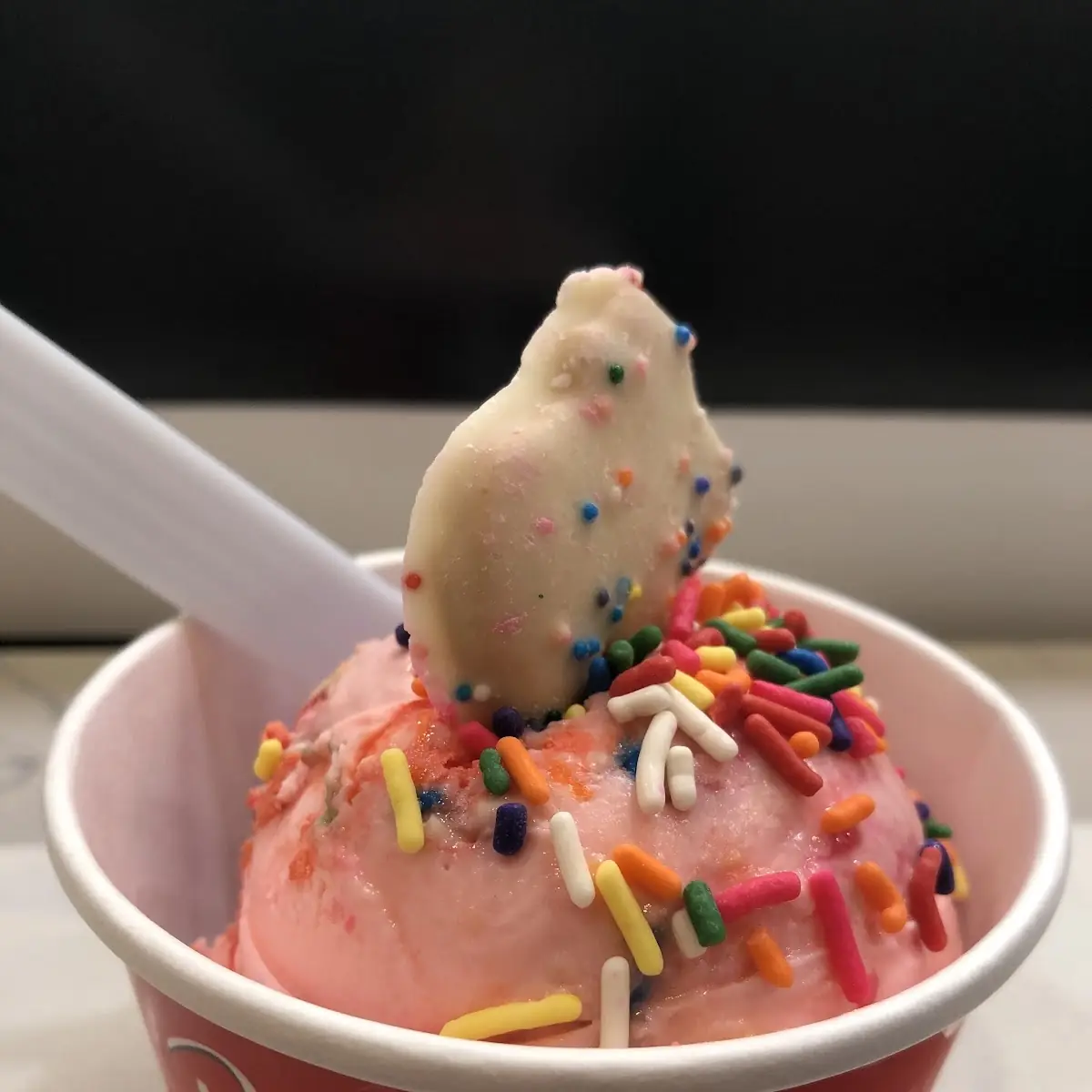 Frozen Yogurt