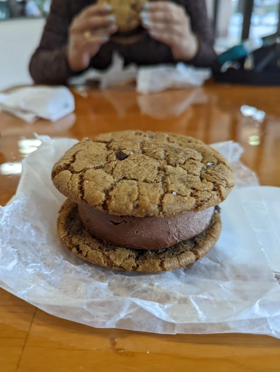 Double Chocolate Cookie Ice Cream Sandwich