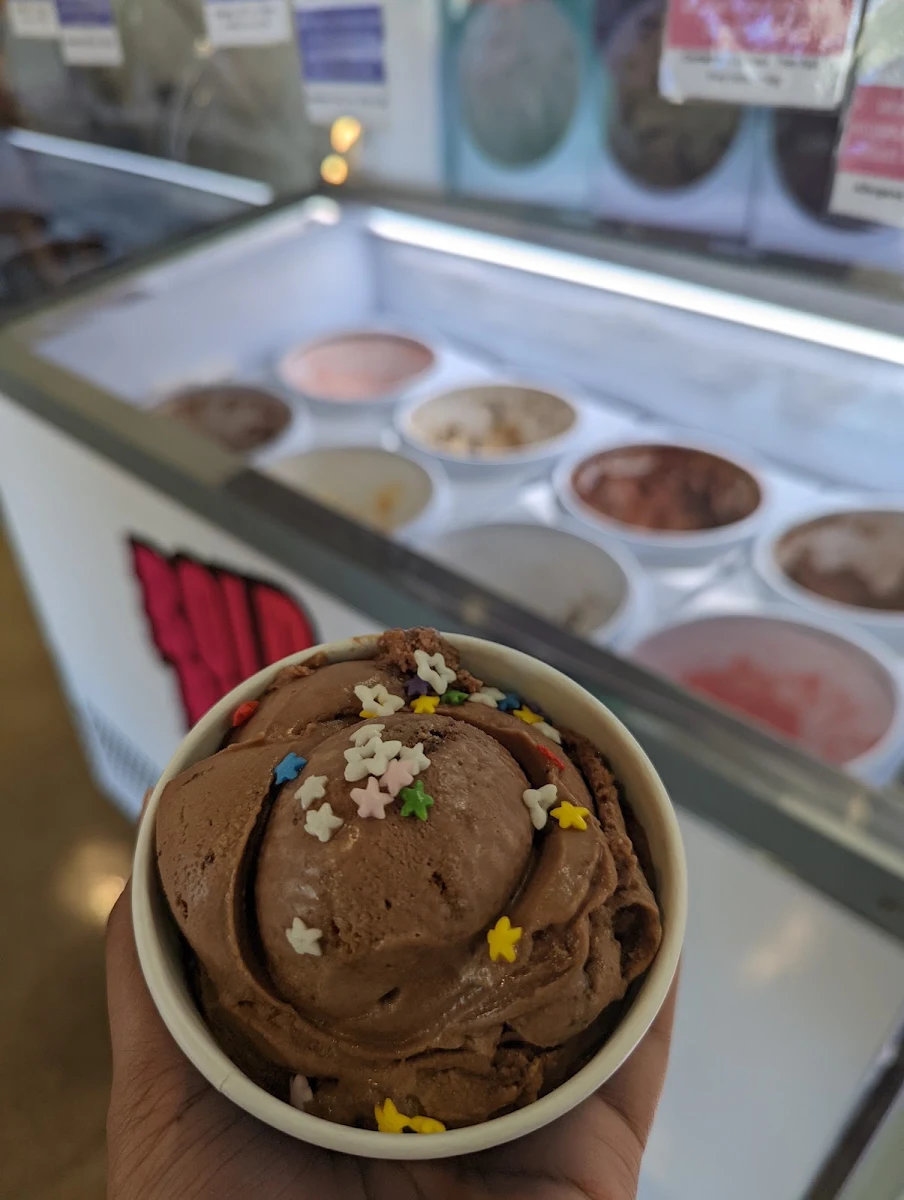 Vegan Chocolate Ice Cream