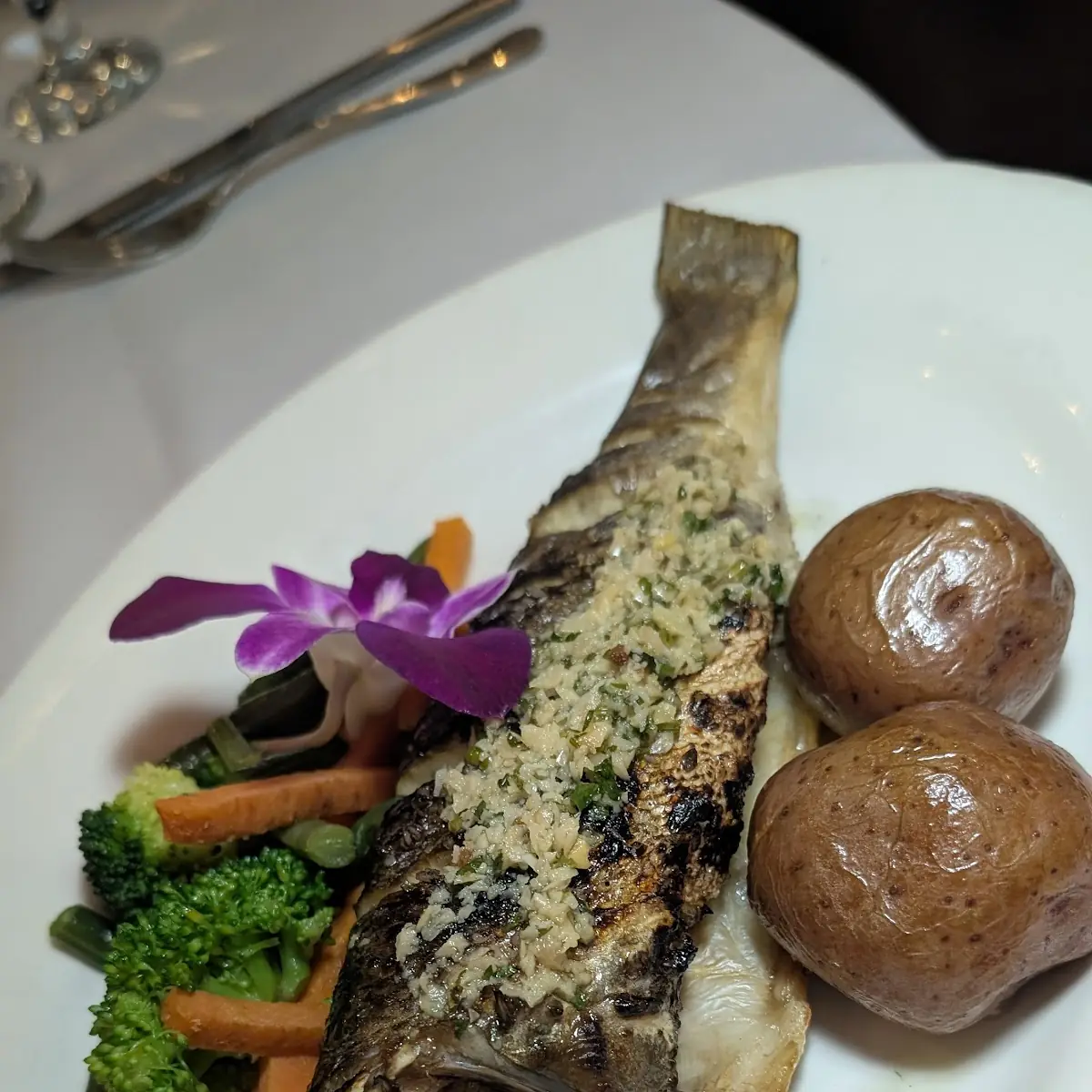 Sea Bass