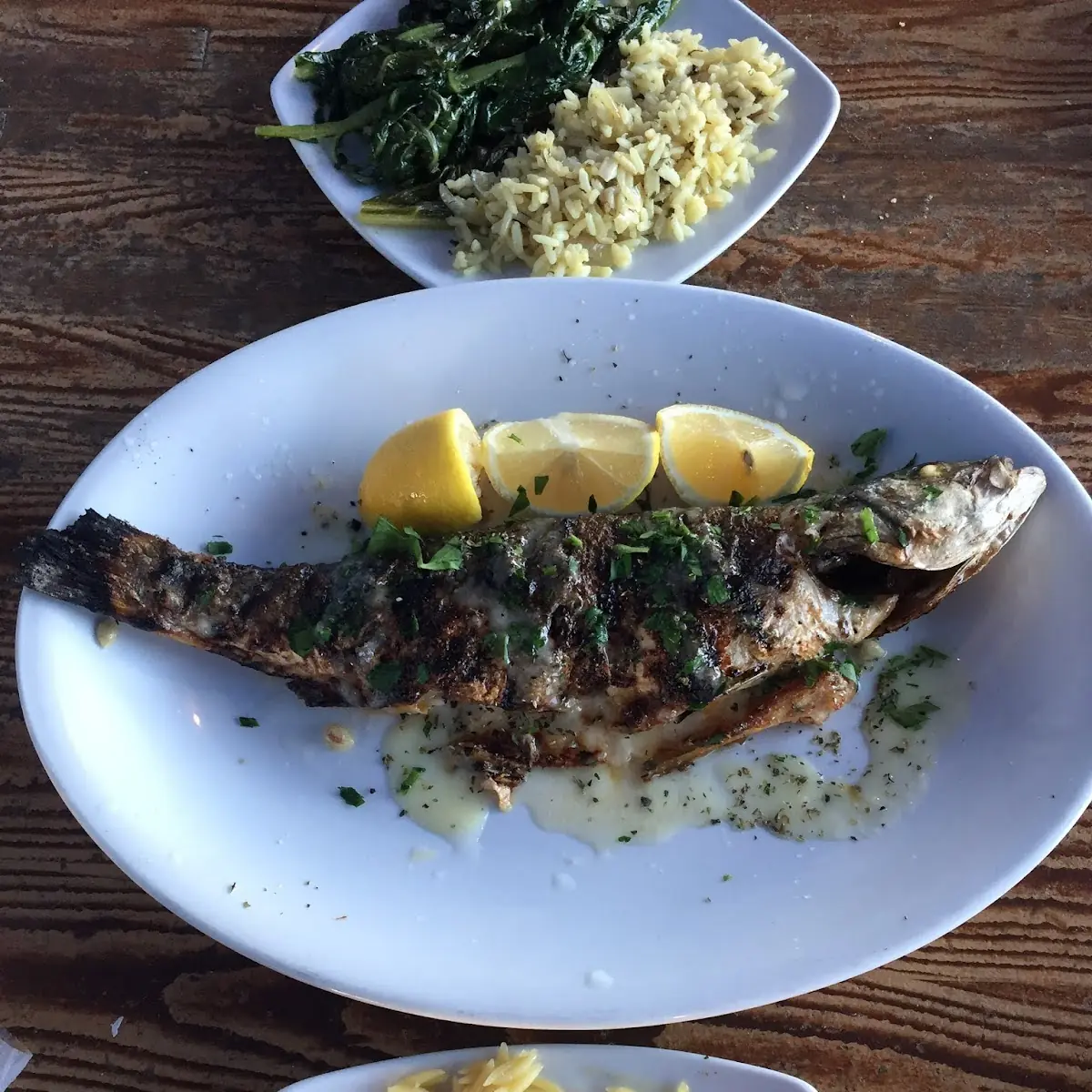 Sea Bass