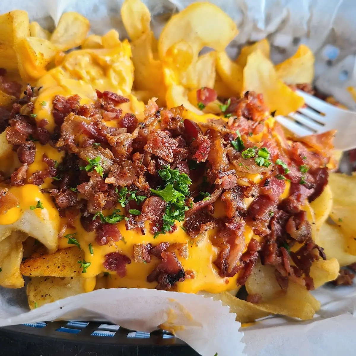 Bacon Cheddar