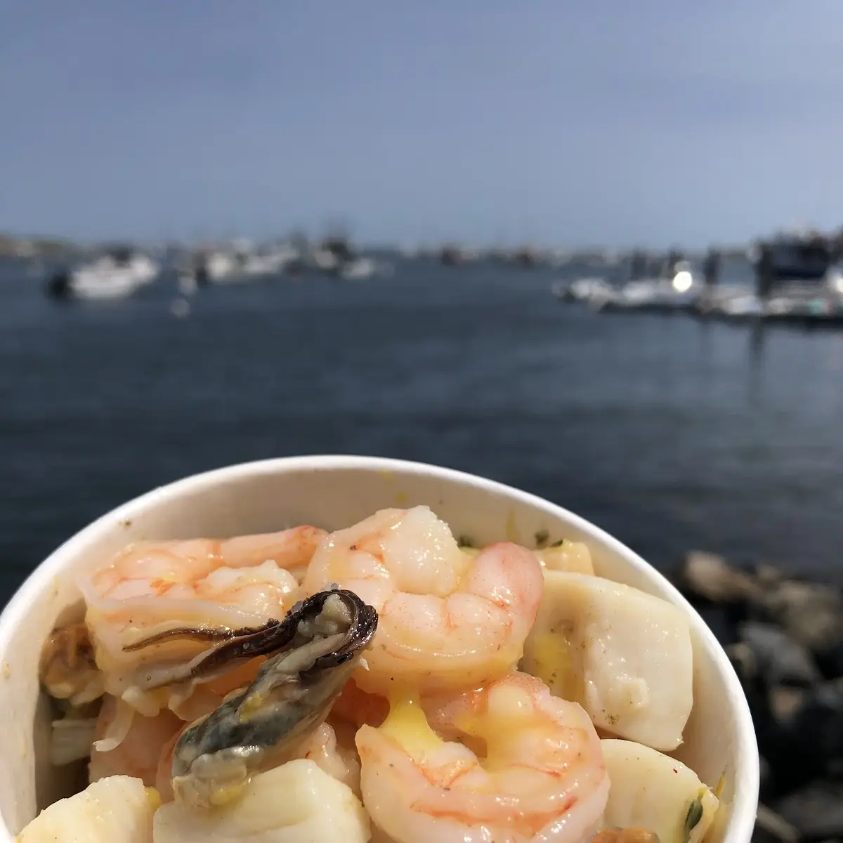 Seafood Salad