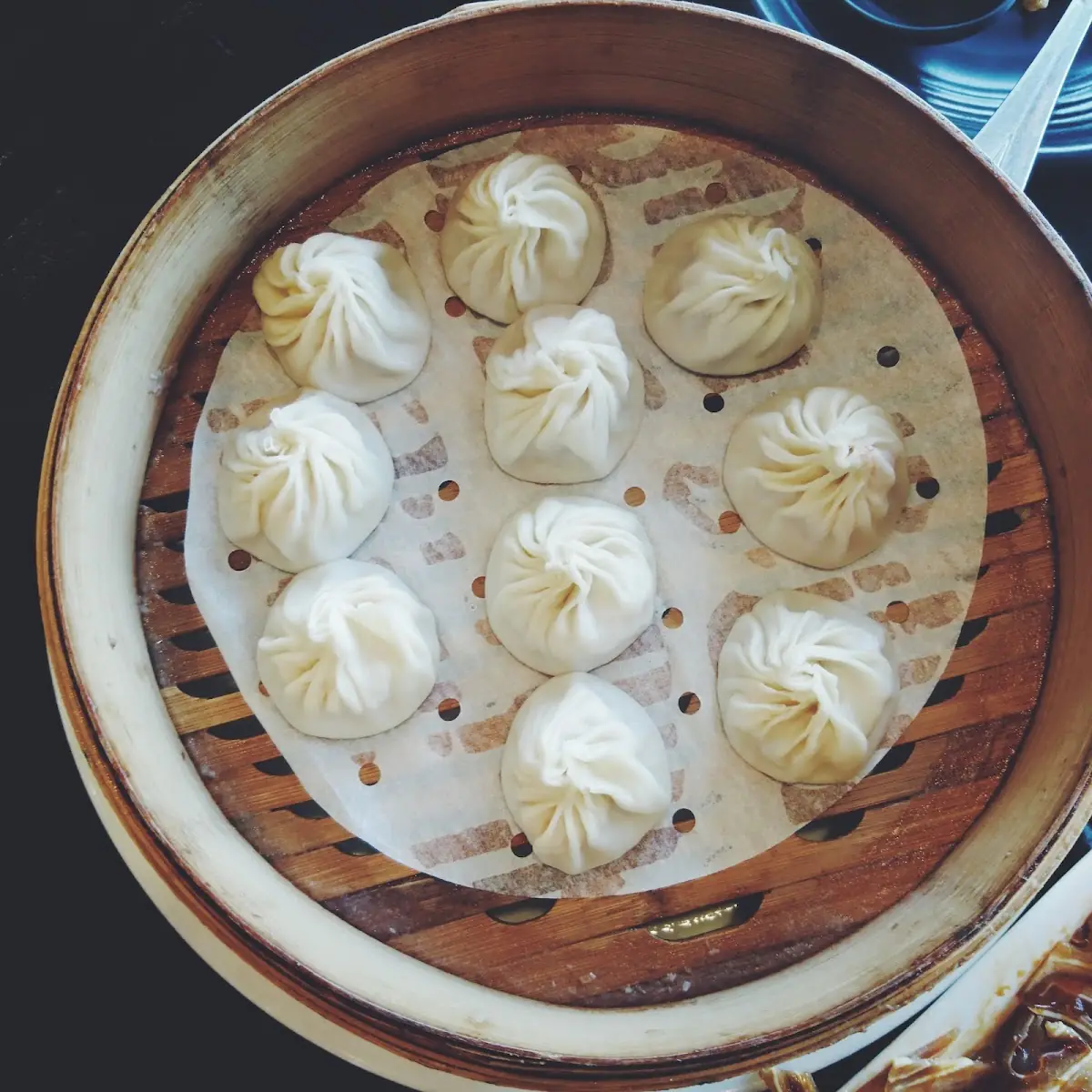 Pork Soup Dumplings Xiao Long Bao
