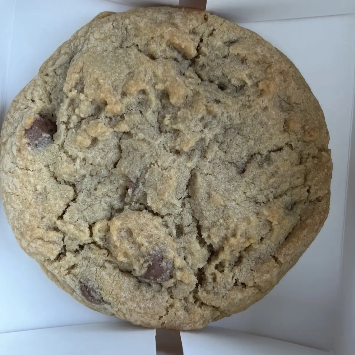 Chocolate Chip Cookie