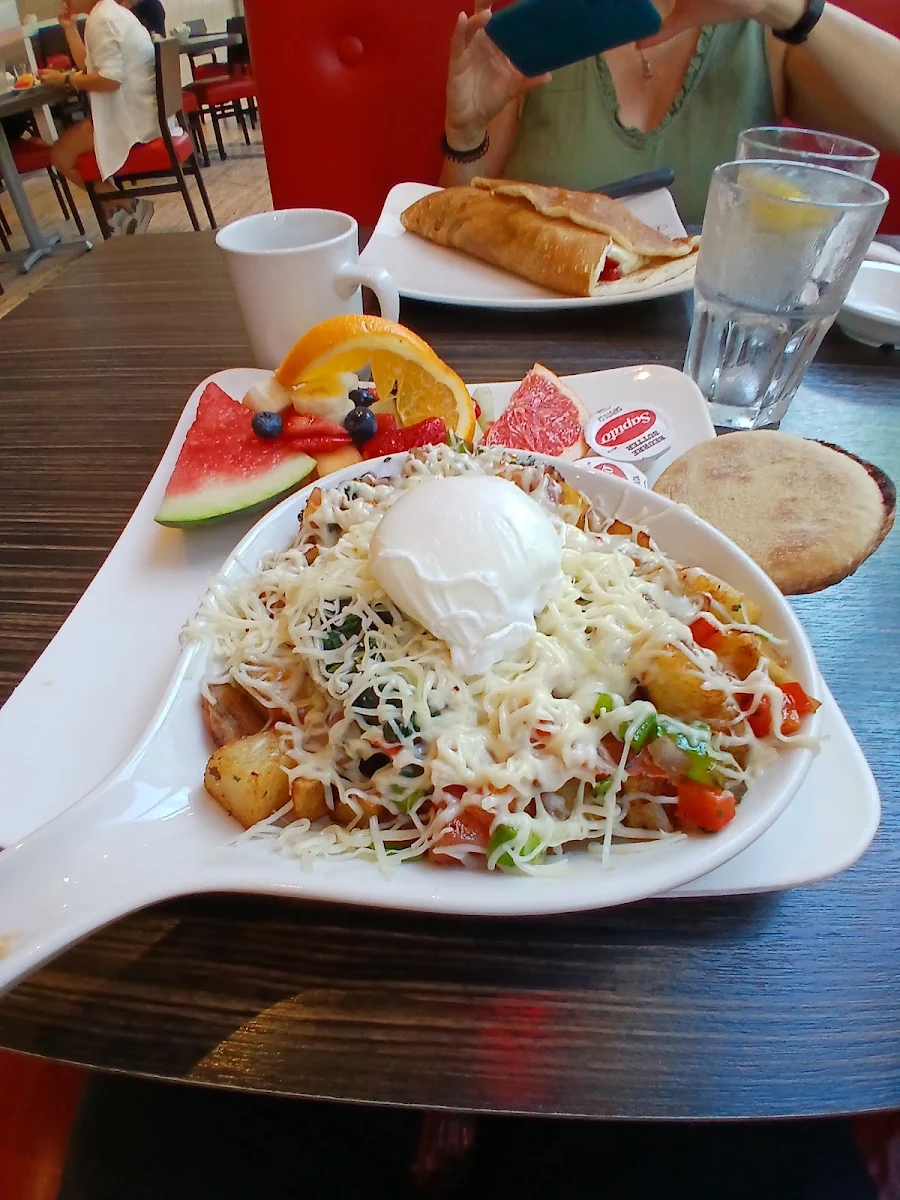 Veggie Casserole, Allô mon Coco Vieux Montréal
