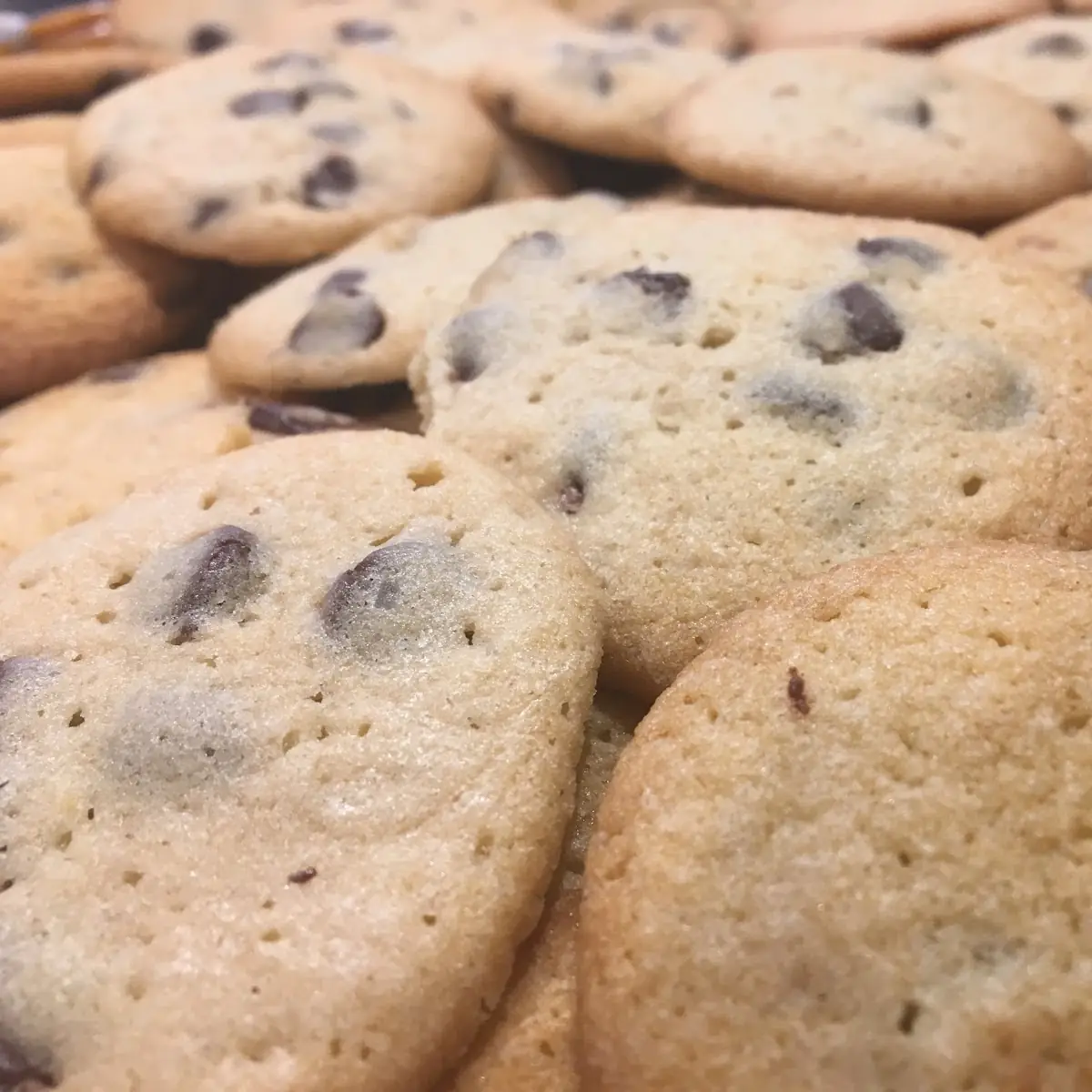 Passover Chocolate Chip Cookies