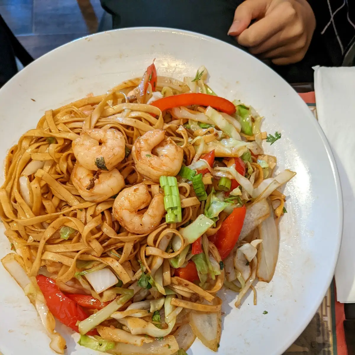 Stir Fried Noodles