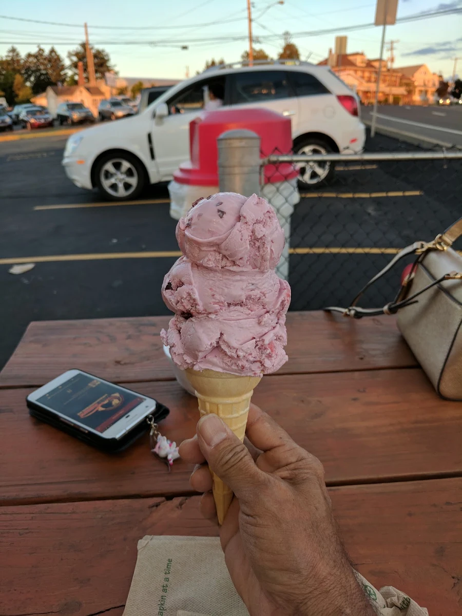 Hand Dipped Ice Cream