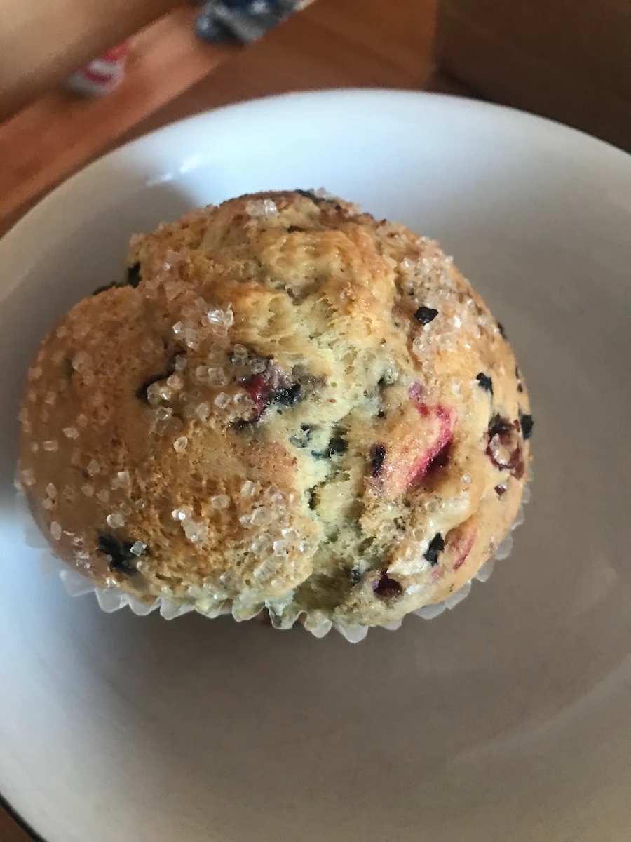 Blueberry Muffin