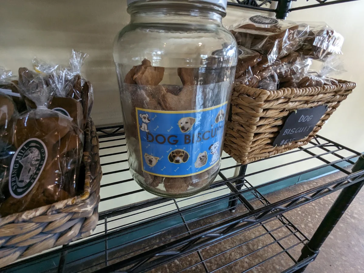 Dog Biscuits
