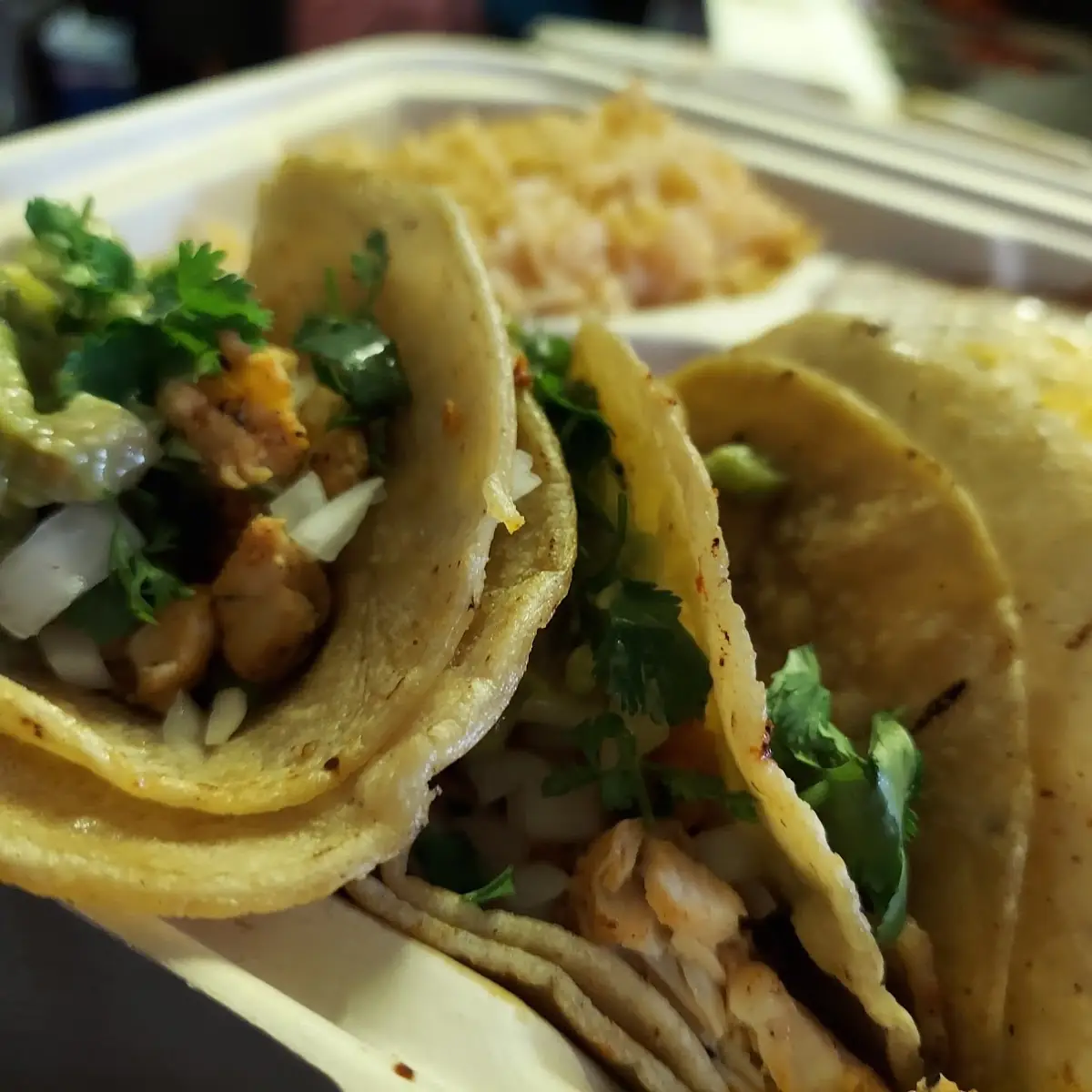 Carnitas Tacos