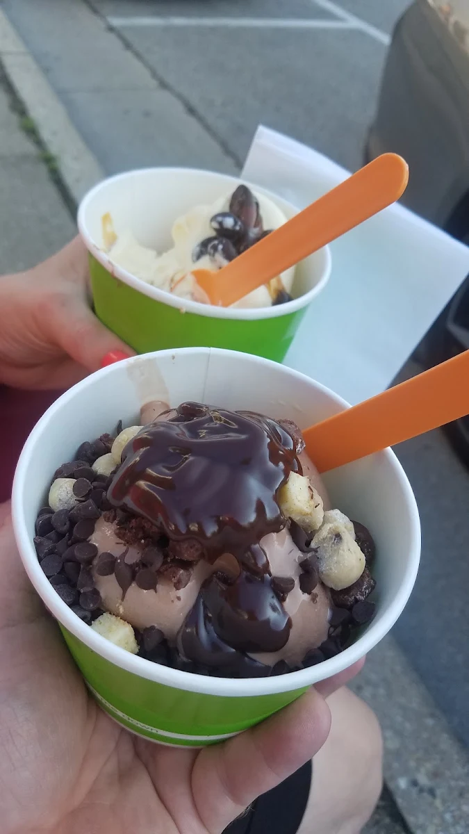 Frozen Yogurt Parfait
