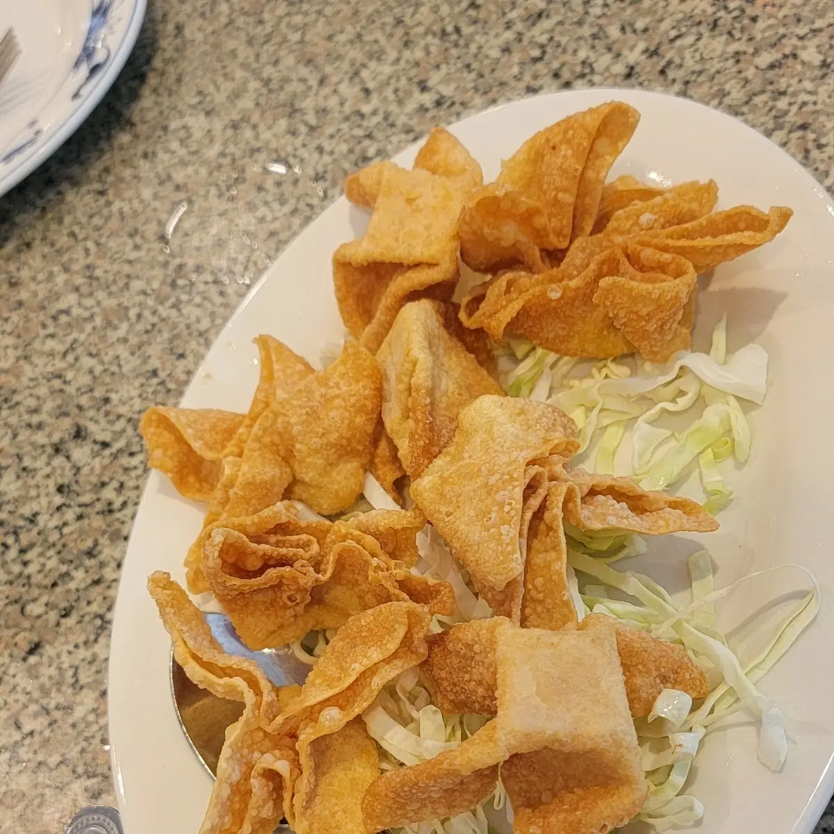 Fried Won Ton