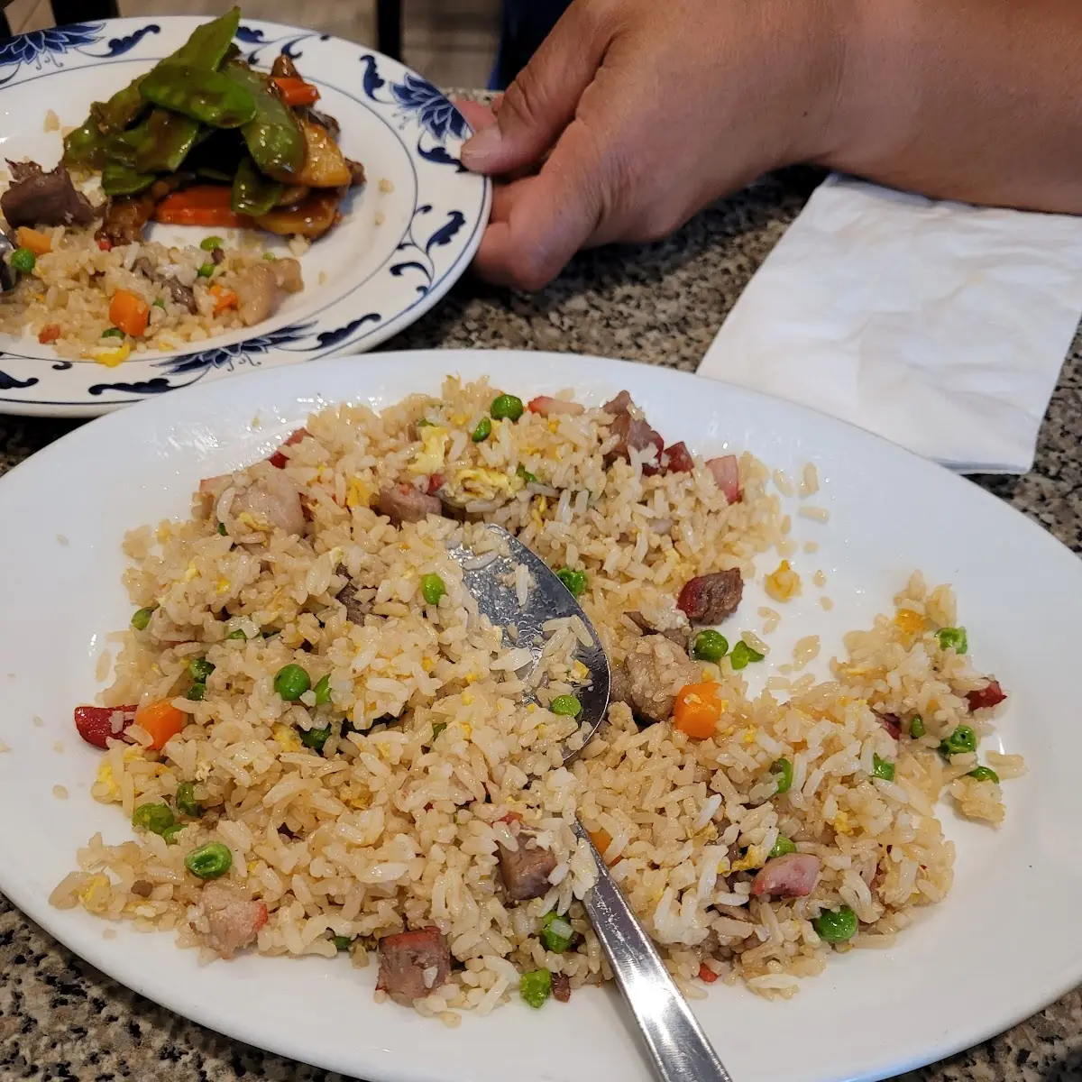 House Special Fried Rice