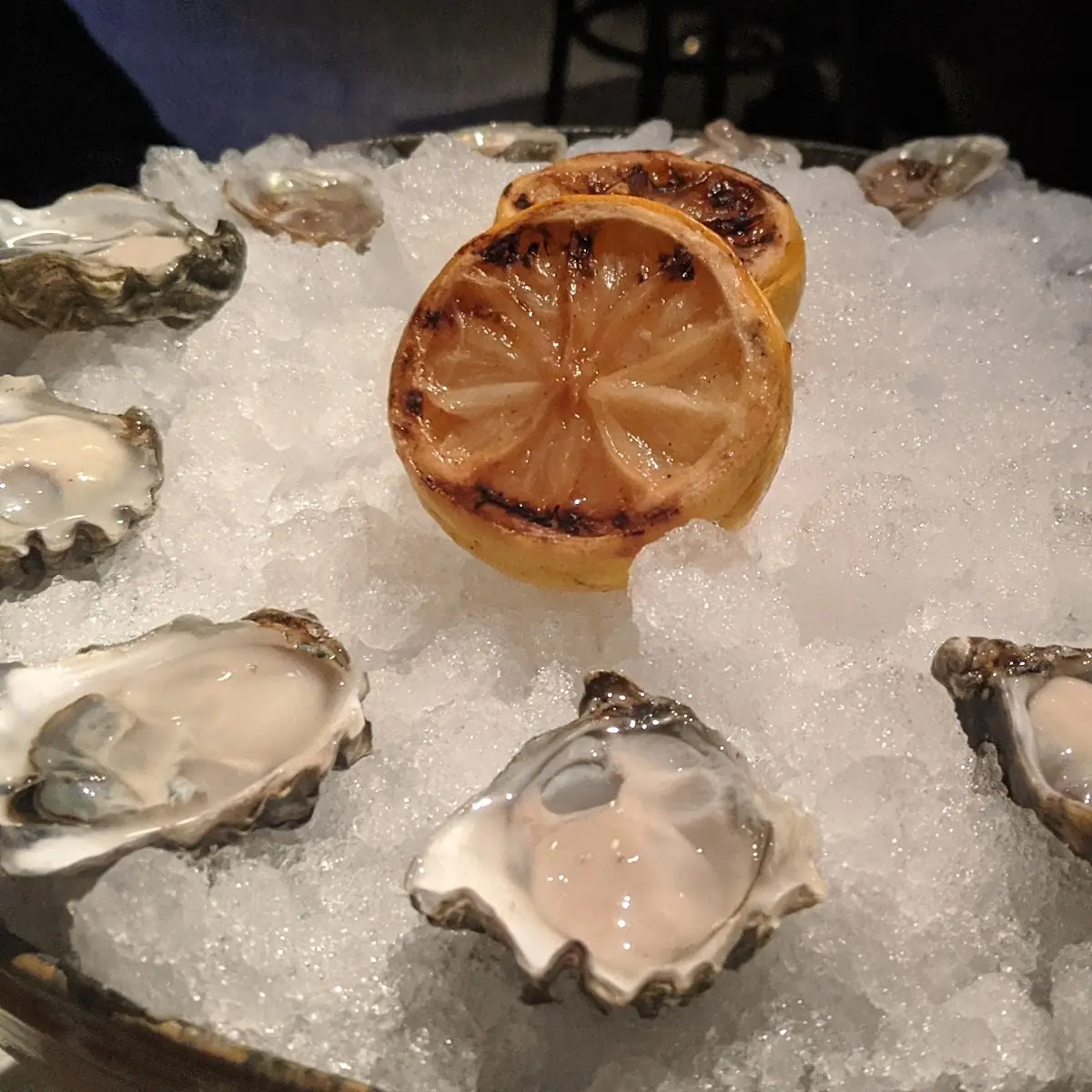 Oysters on the Half Shell