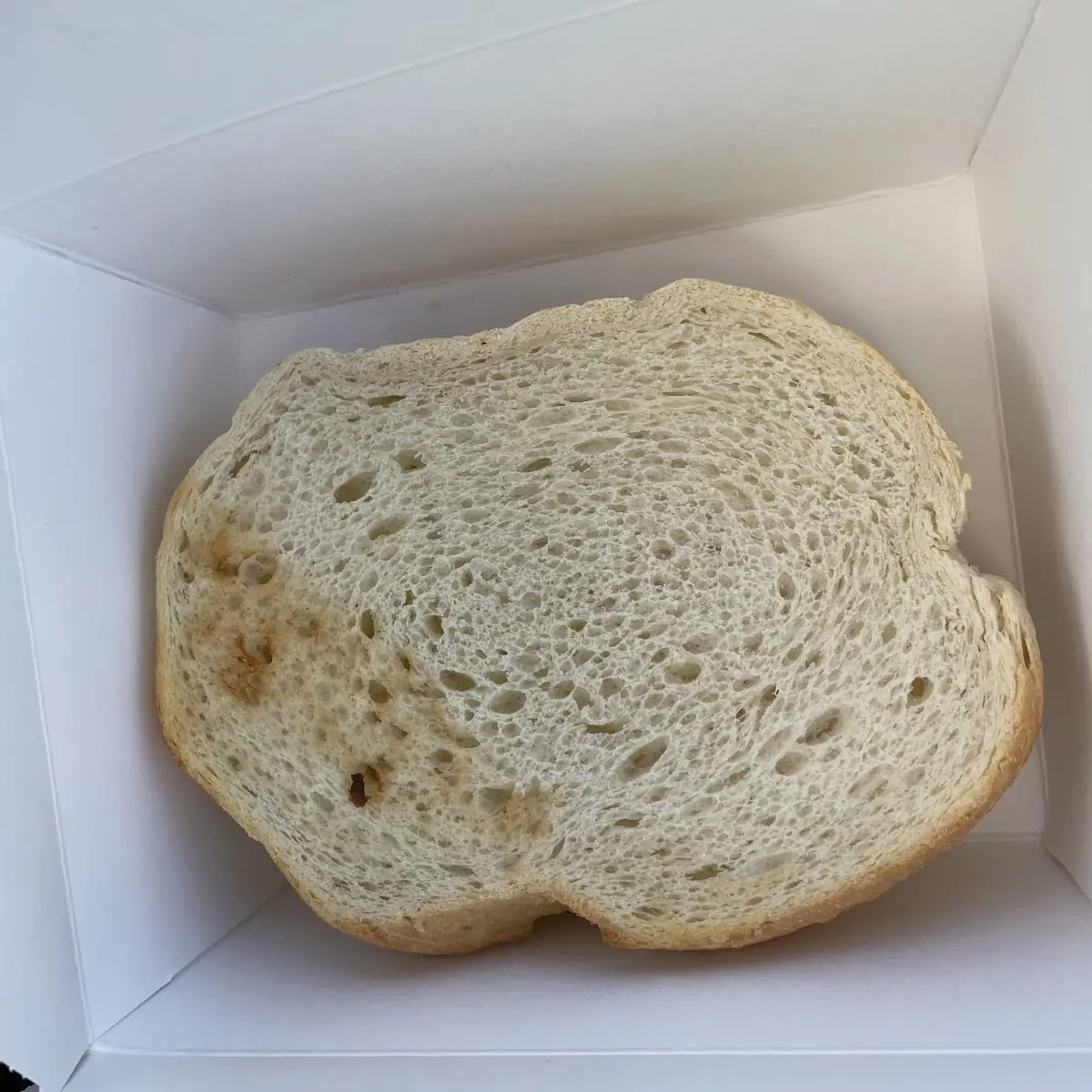 Grilled Cheese Sandwich