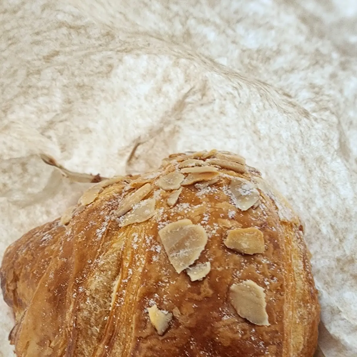 Almond Croissant