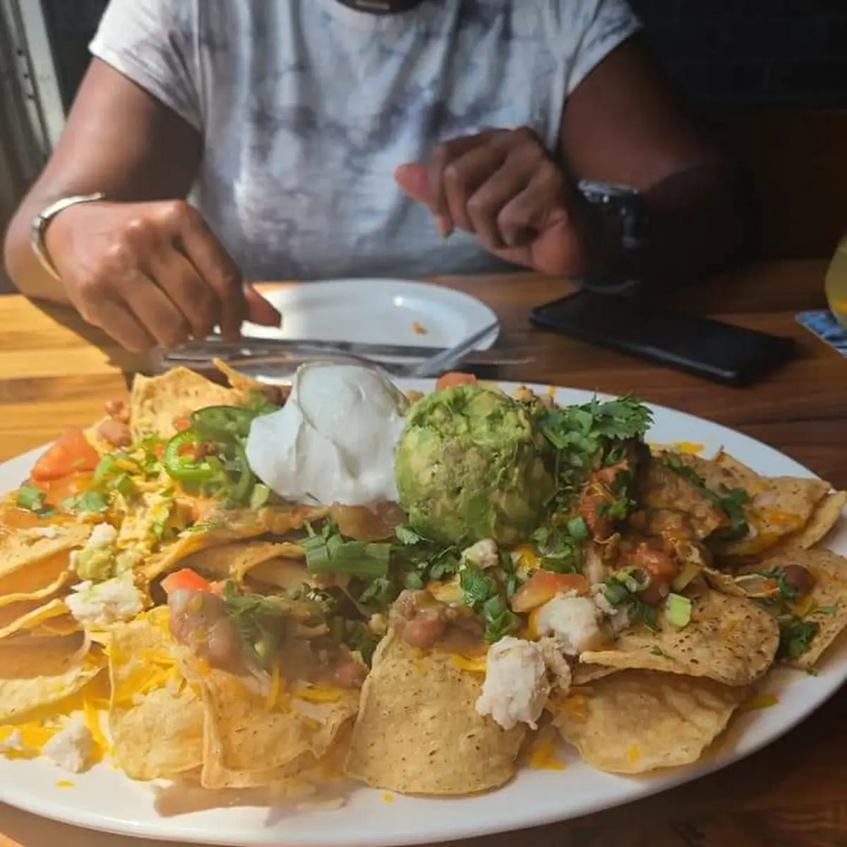 Appetizer Chicken Nachos