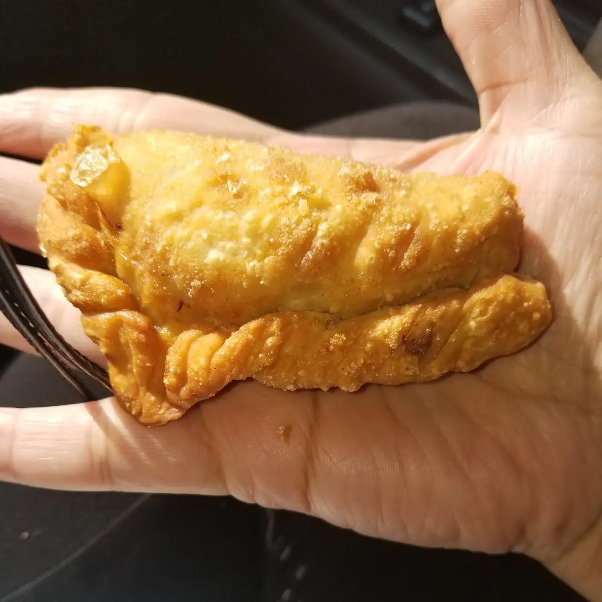 Chicken Empanada