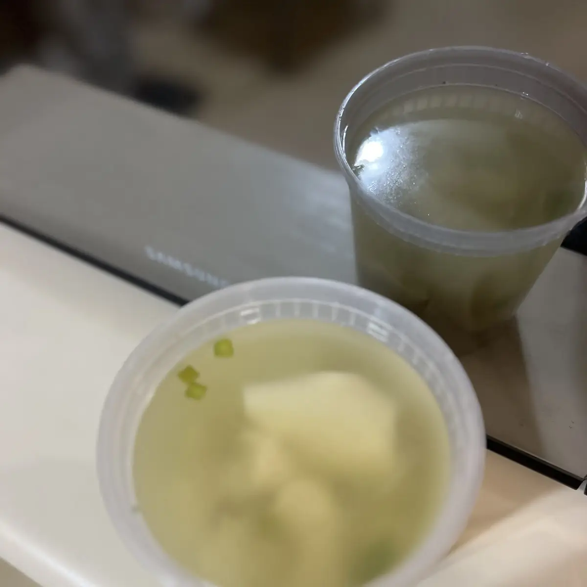 Won Ton Soup