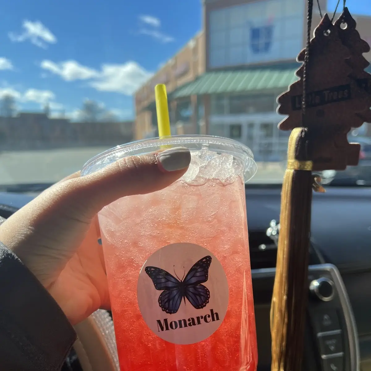 Strawberry Watermelon Mega Tea