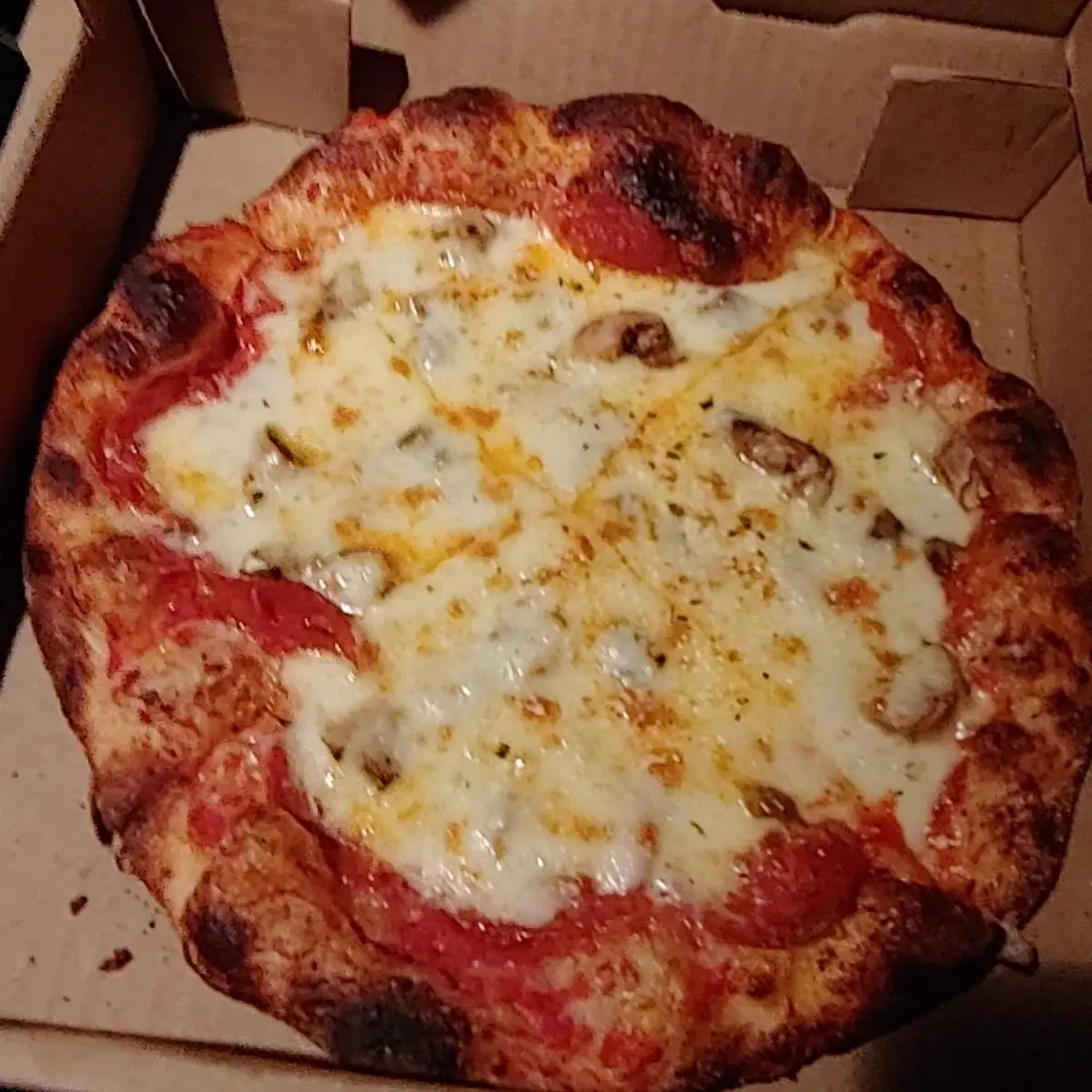 Pepperoni and Mushroom Pizza
