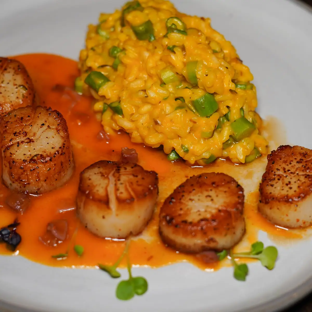Day Boat Sea Scallops