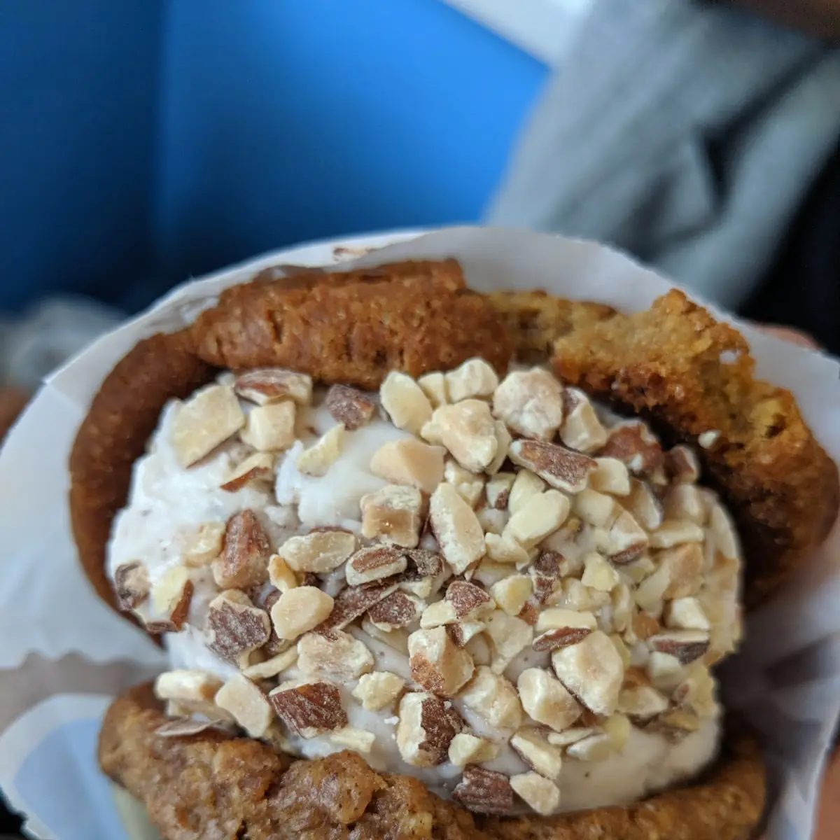 Oatmeal Raisin