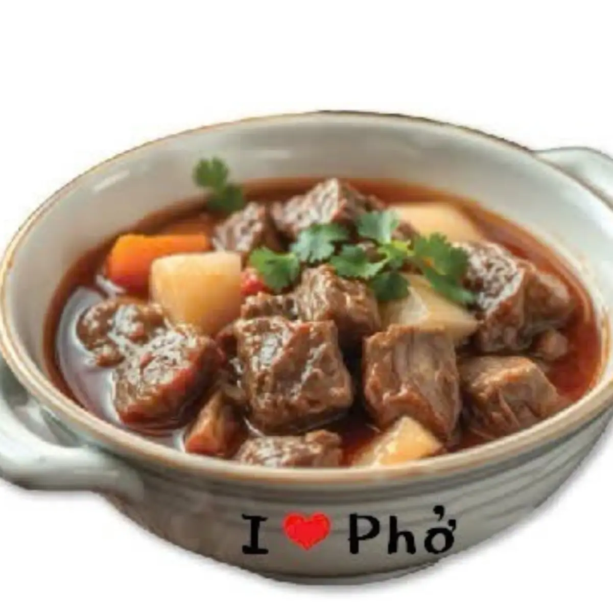 Beef Stew Hong Kong