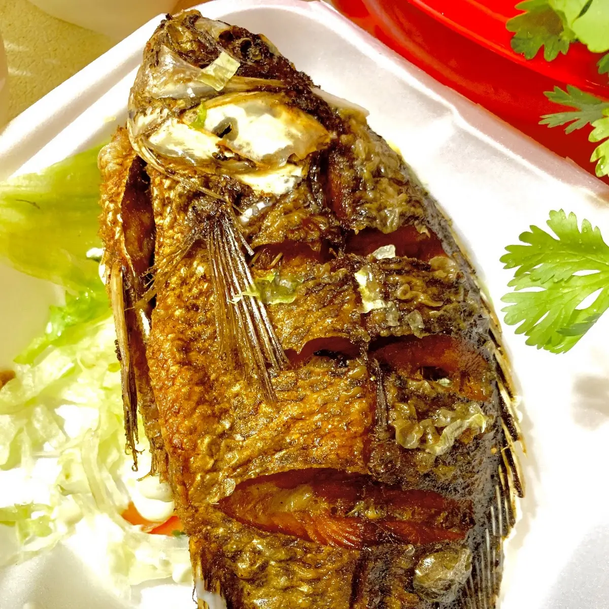 Fried Mojarra