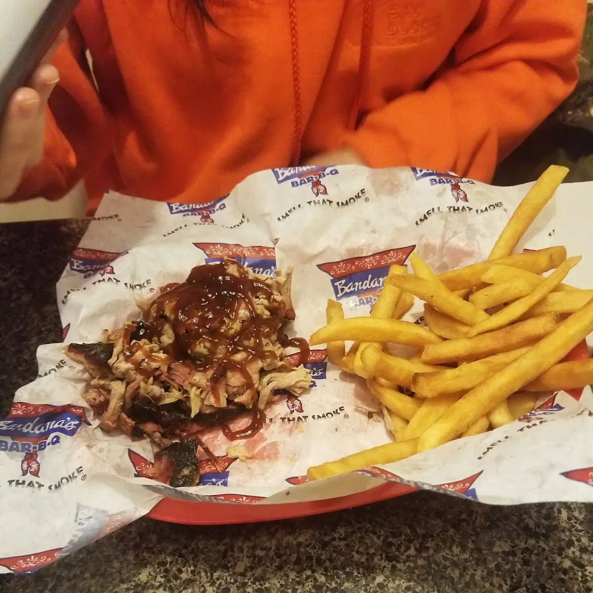 Pulled Pork and French Fries