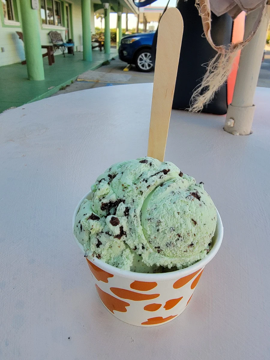 Mint Chocolate Ice Cream