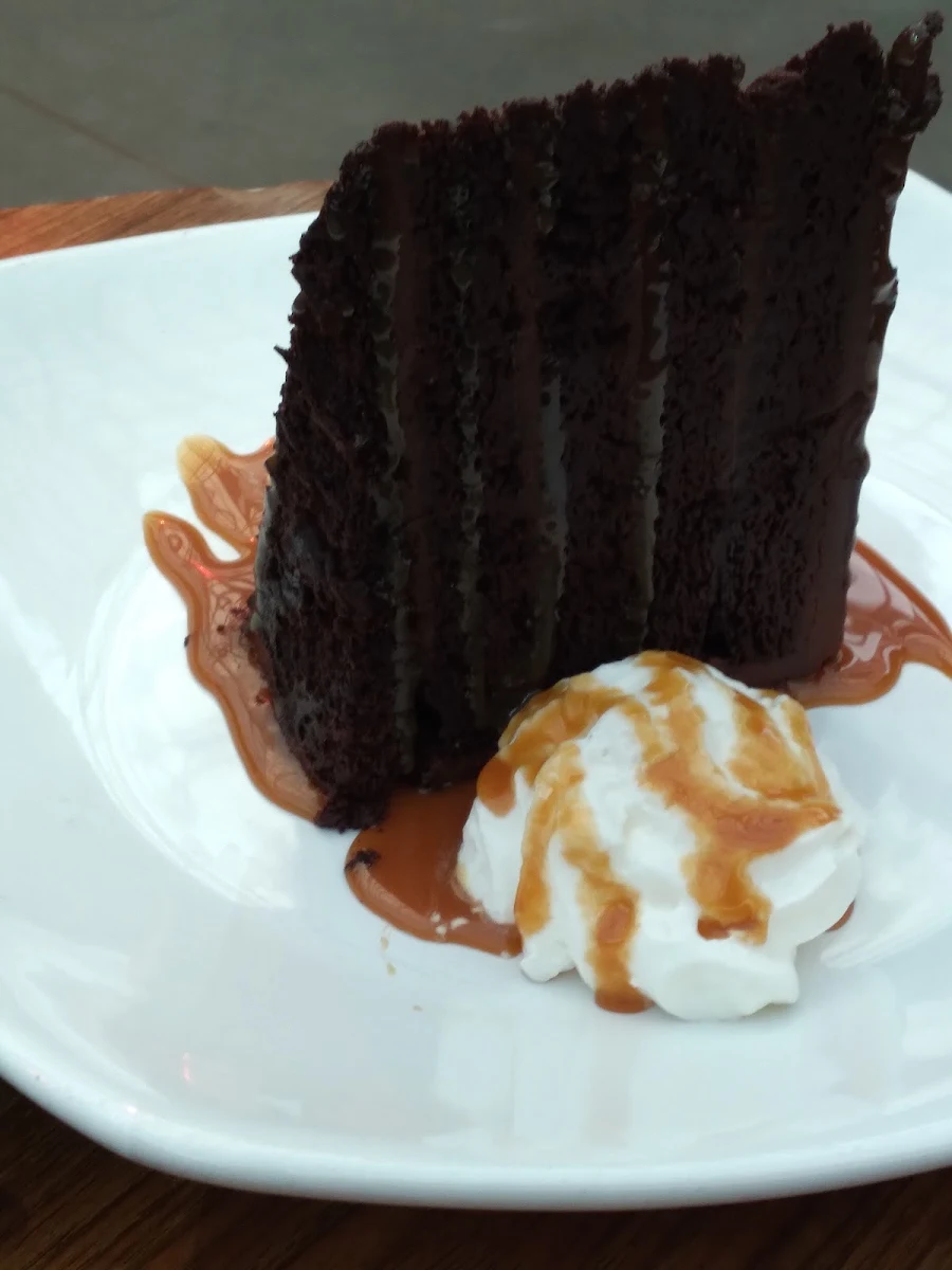 Double Chocolate Mousse Cake