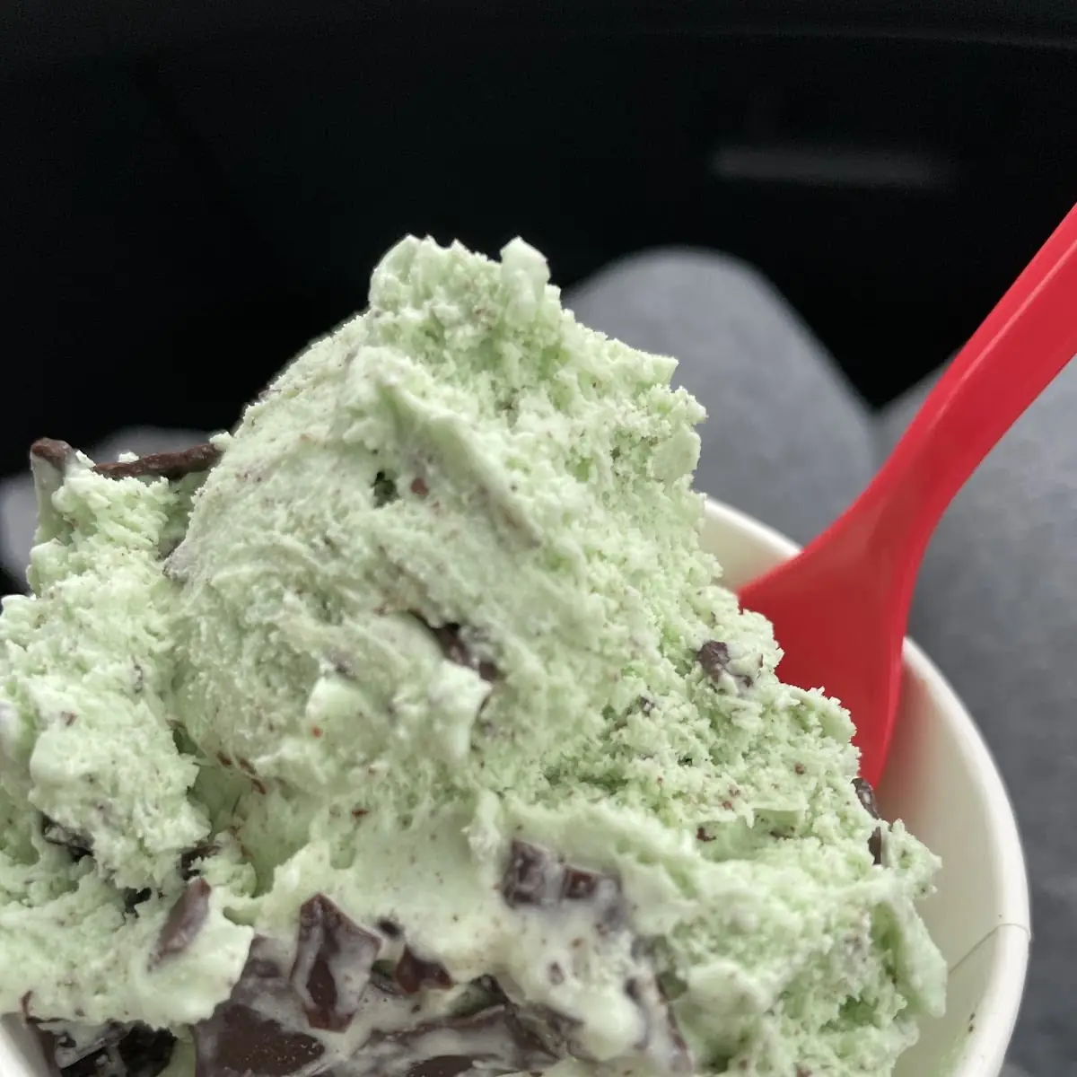 Chocolate Chip