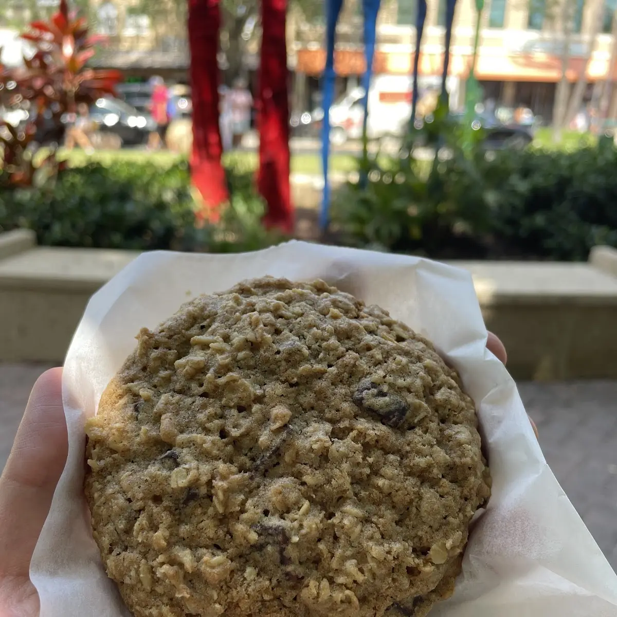 Chocolate Chip Oatmeal Cookie