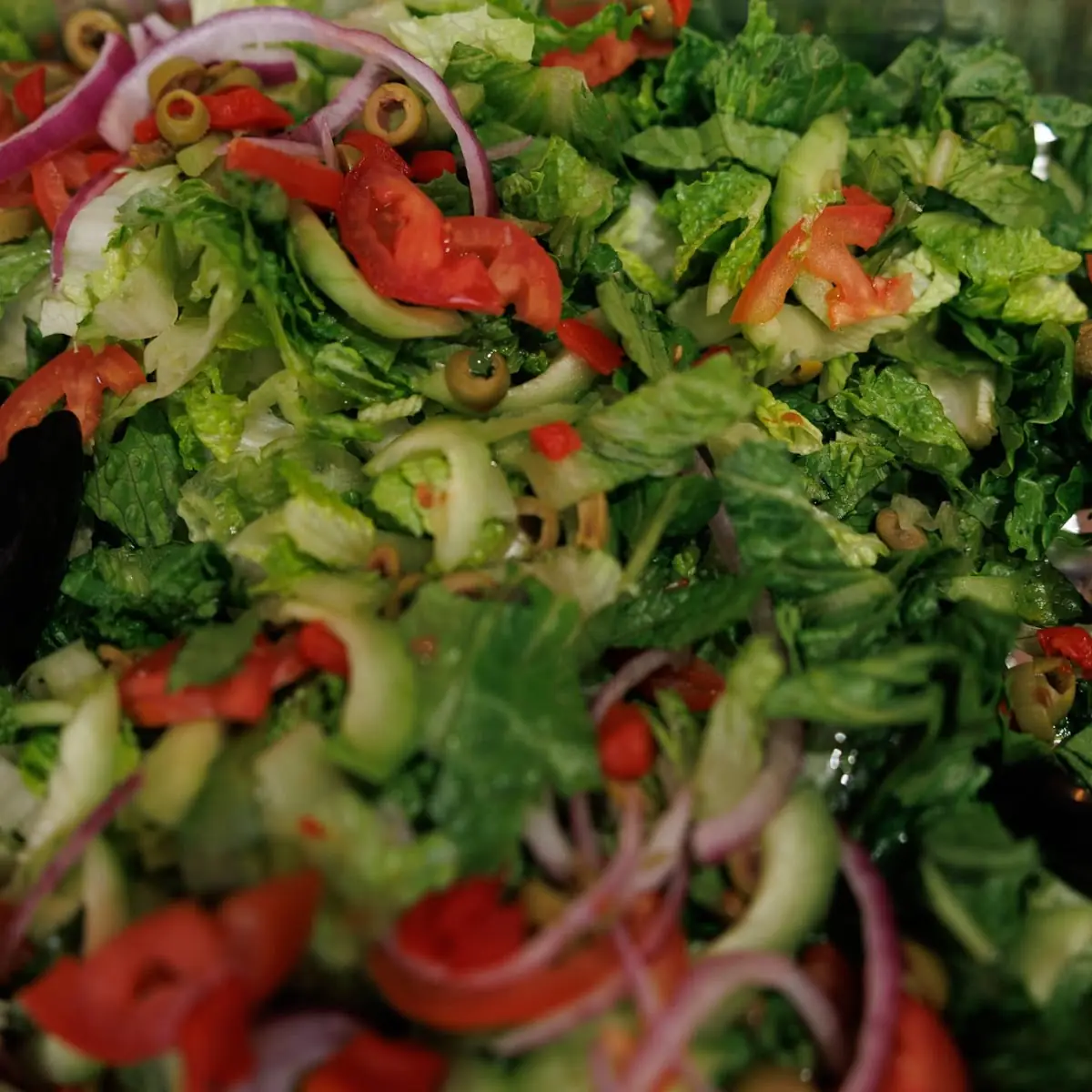 Garden Salad
