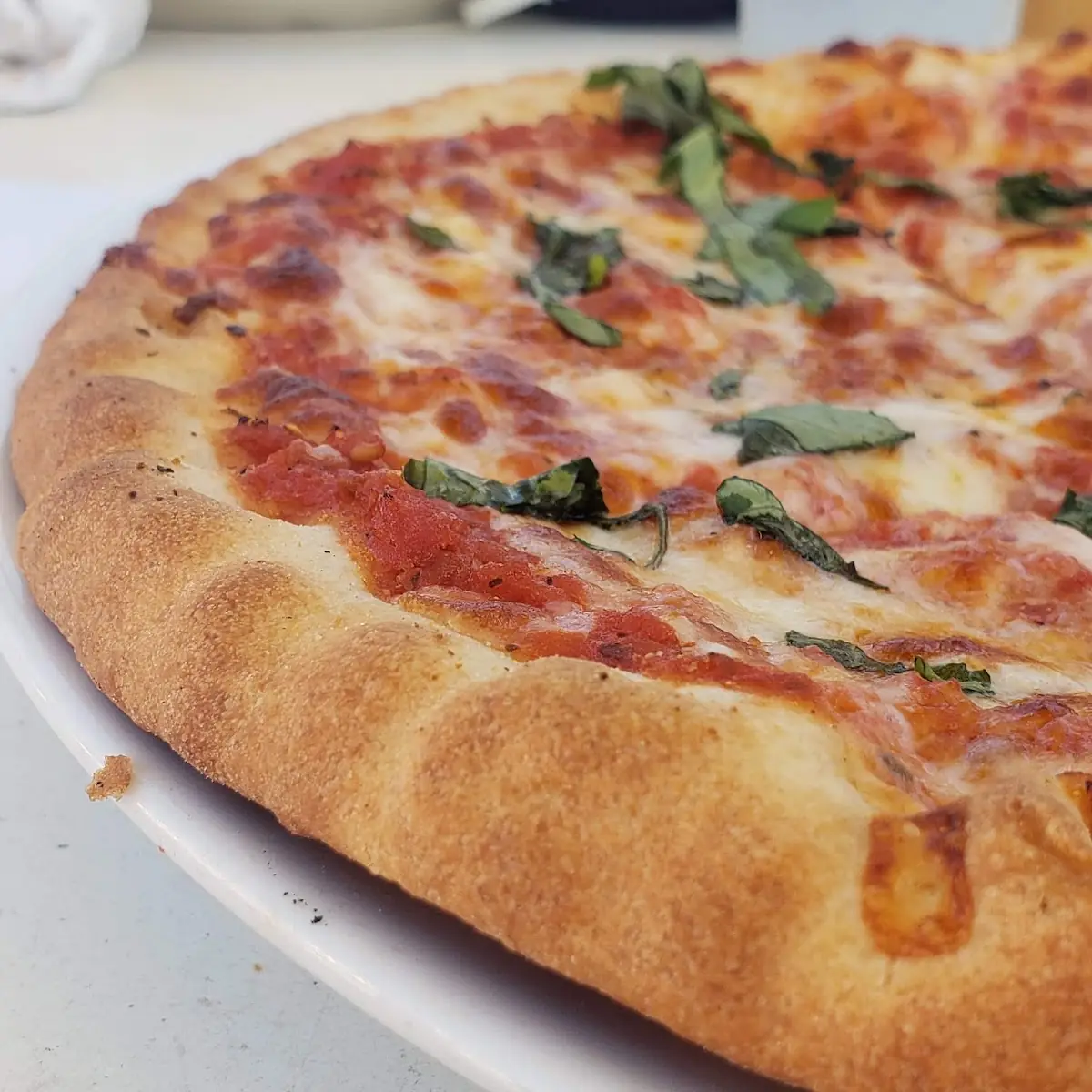 Pizza Margherita