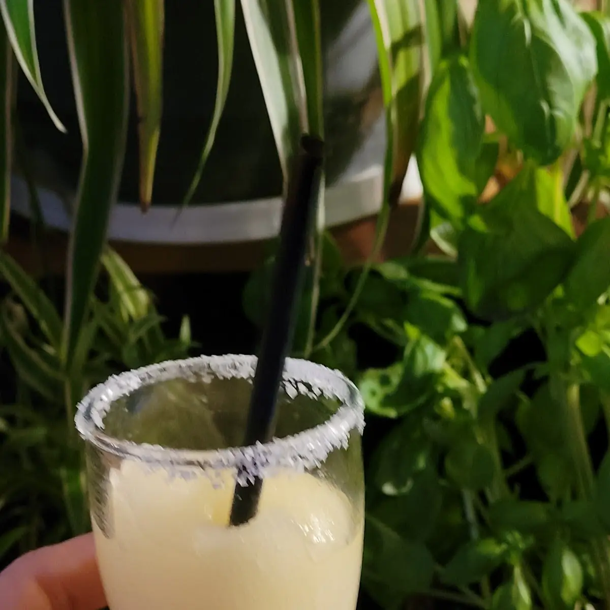 Margarita, Stonewater Pub