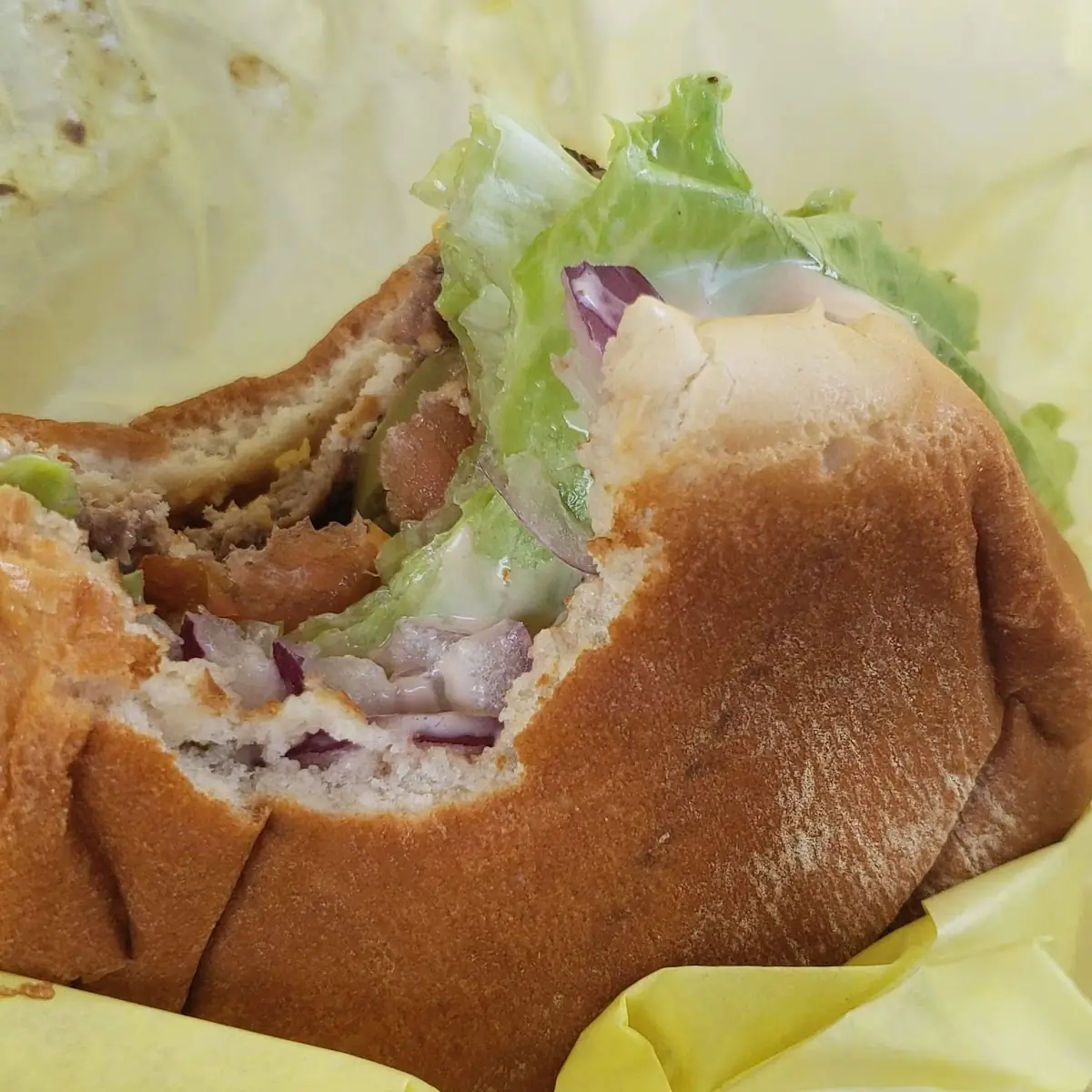 Regular Poly Burger