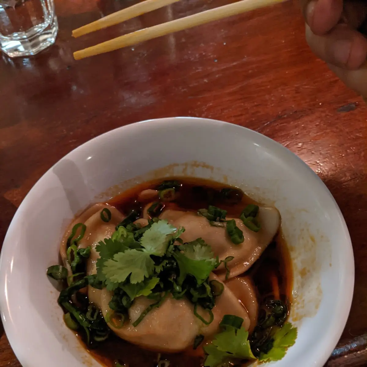 Pork Dumplings