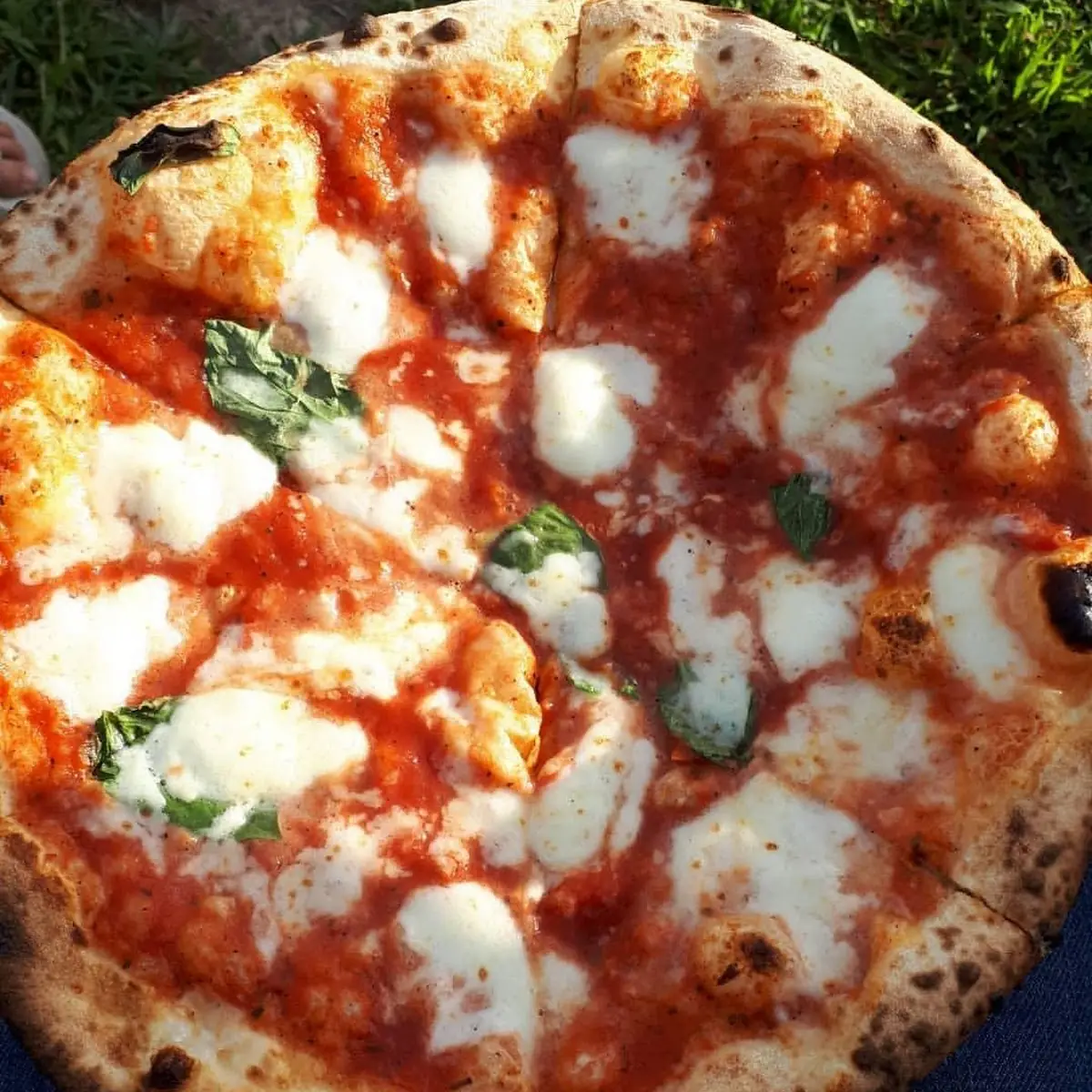 Pizza Margherita