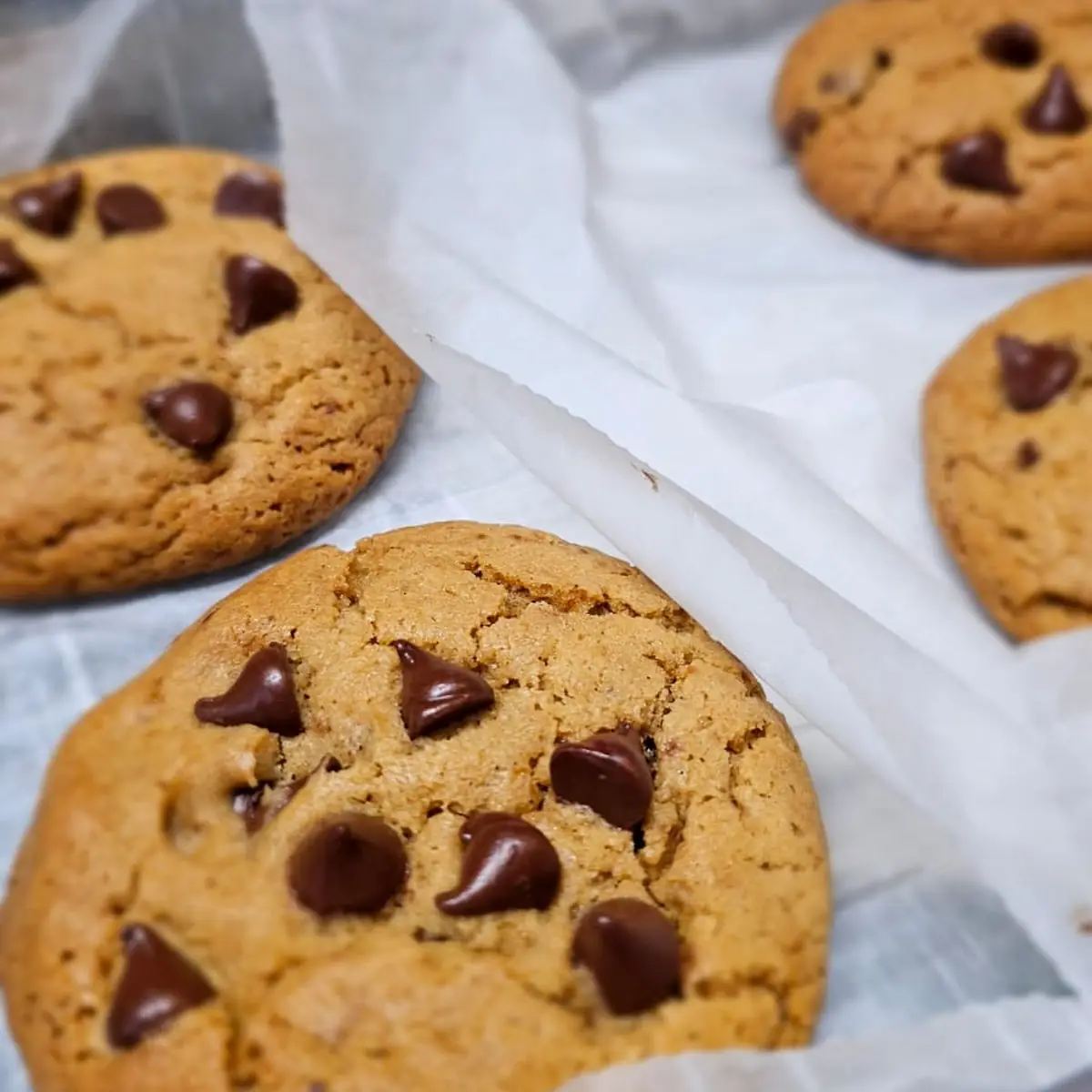 Chocolate Chip Cookie