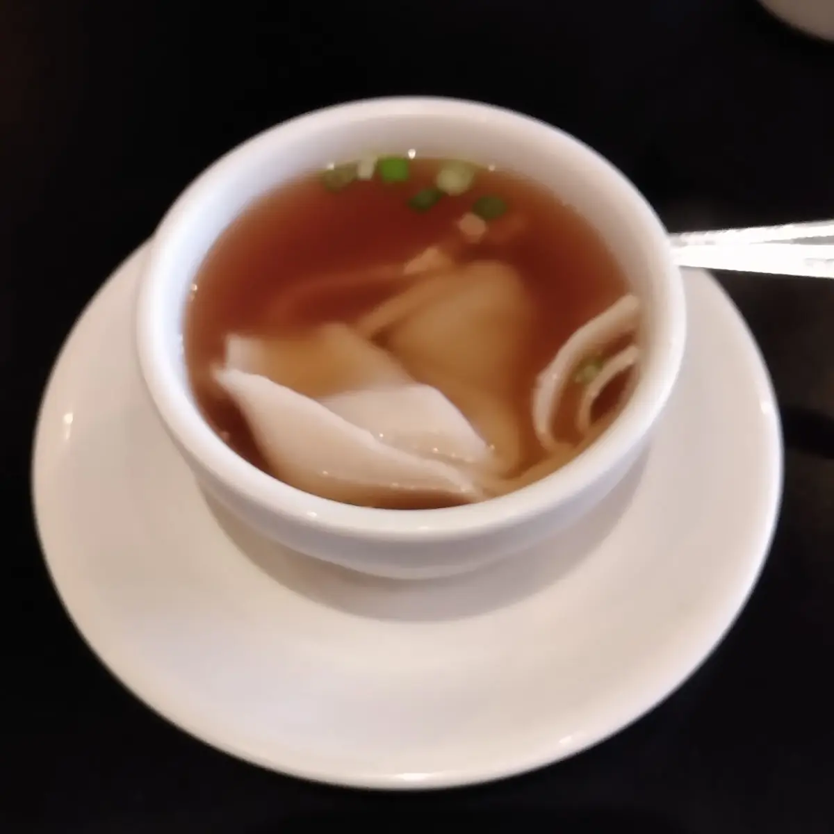 Wonton Soup