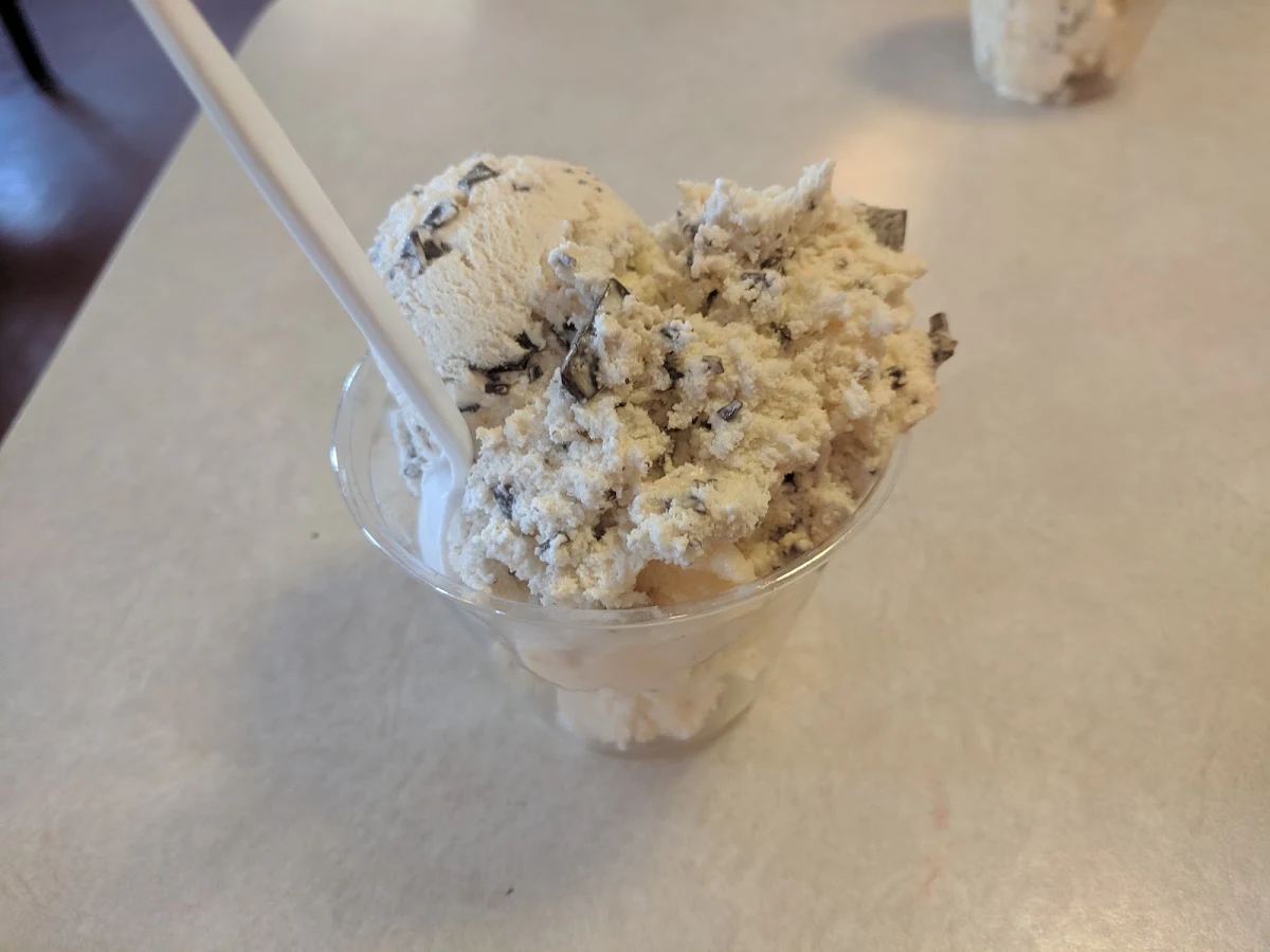 Chocolate Chip Ice Cream
