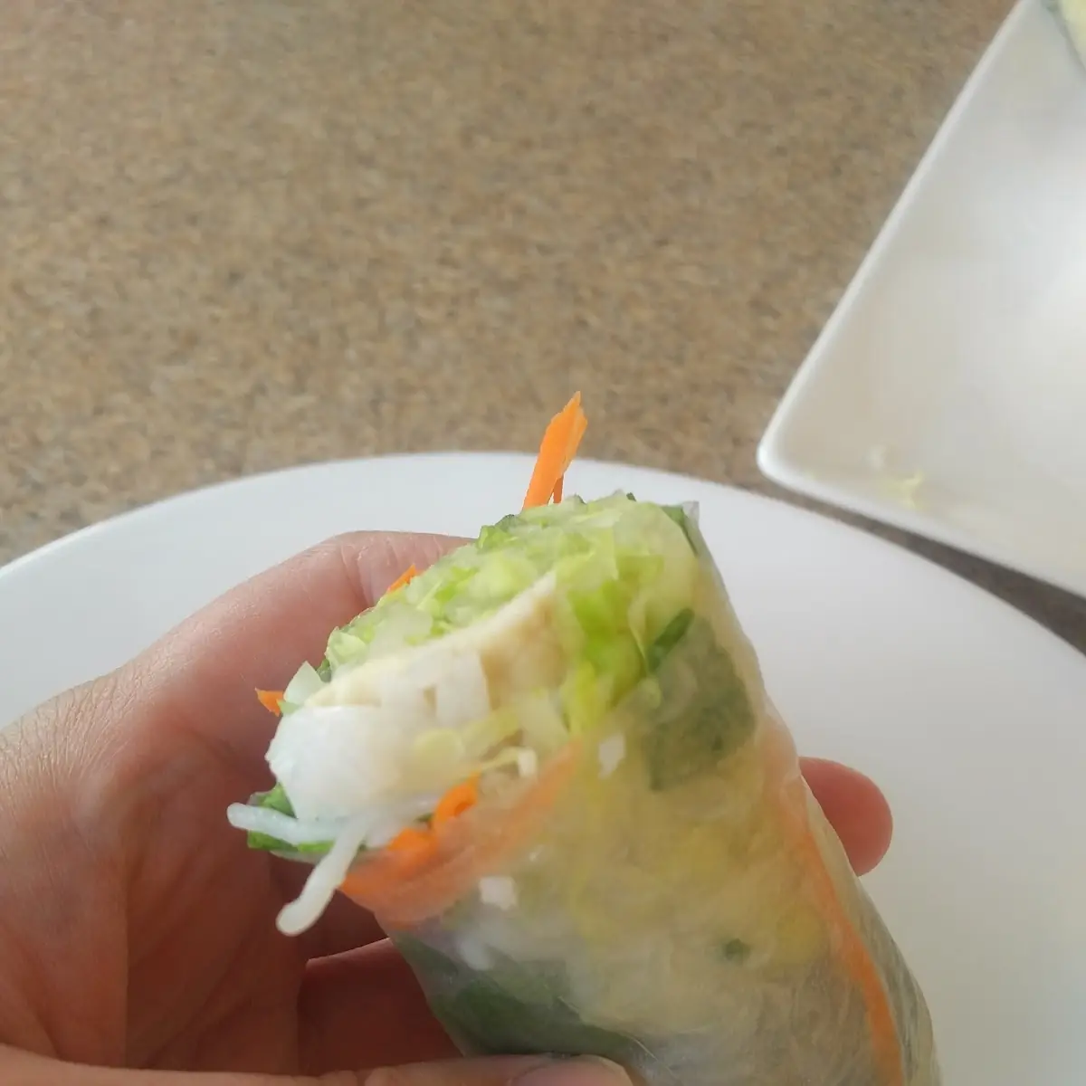 Shrimp Spring Rolls