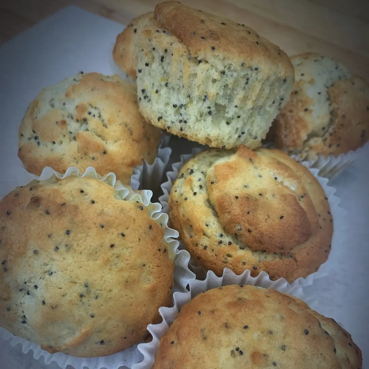 Lemon Poppy Seed